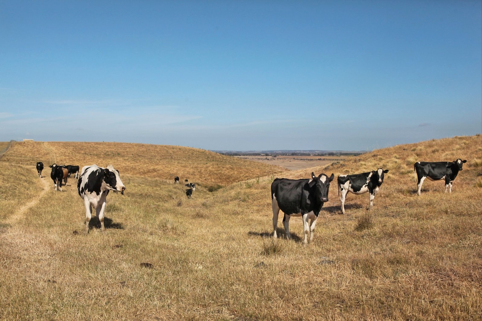 Real Estate and Property in 490 Settlement Road, Sunbury, VIC