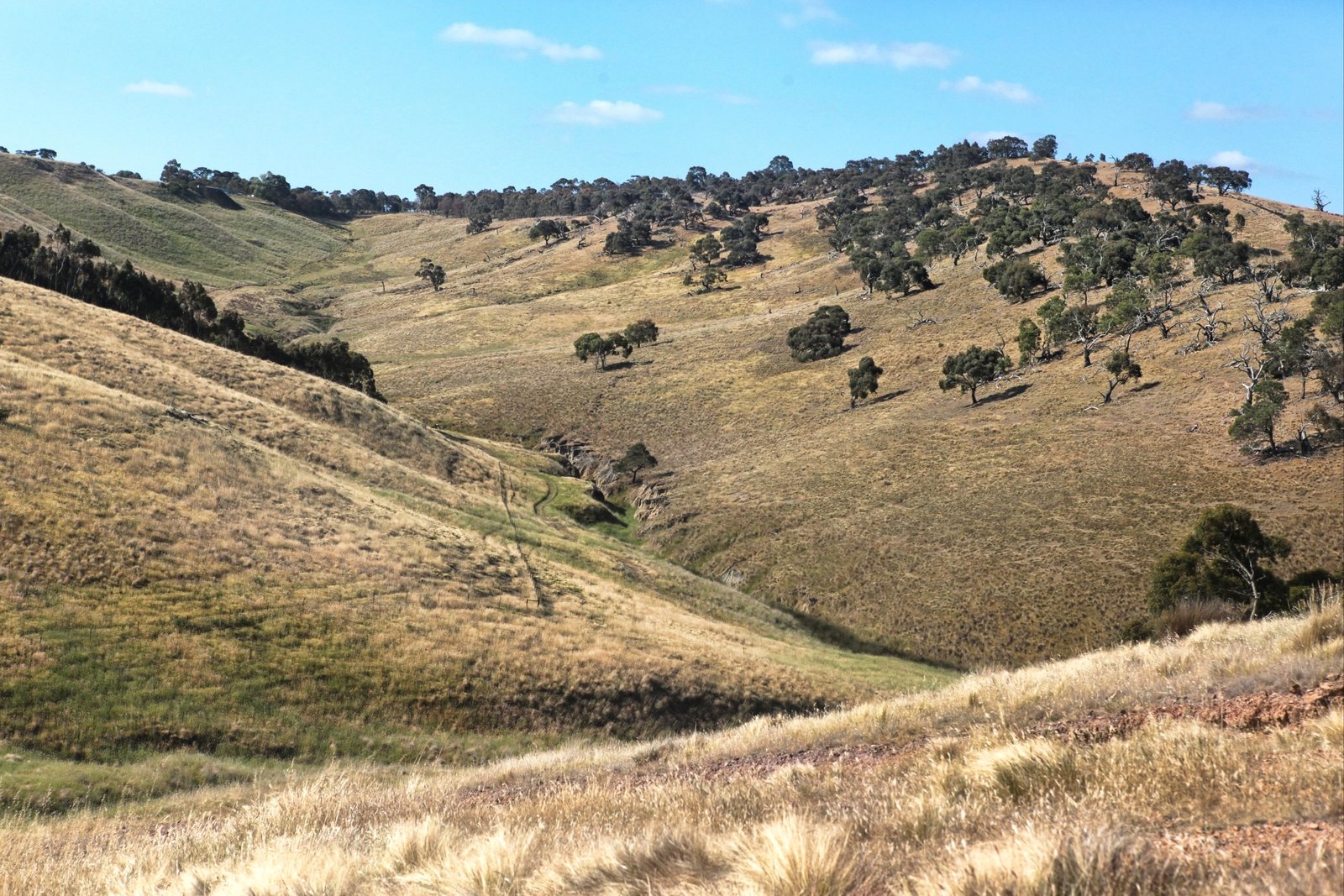 Real Estate and Property in 490 Settlement Road, Sunbury, VIC