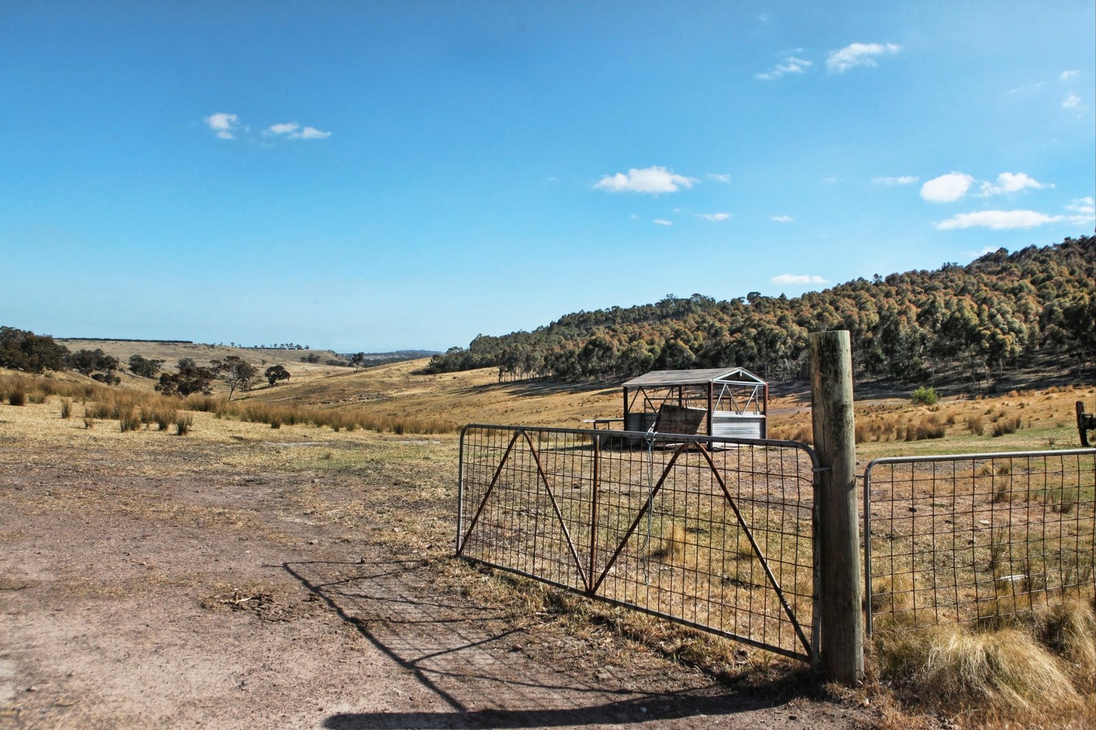 Real Estate and Property in 490 Settlement Road, Sunbury, VIC