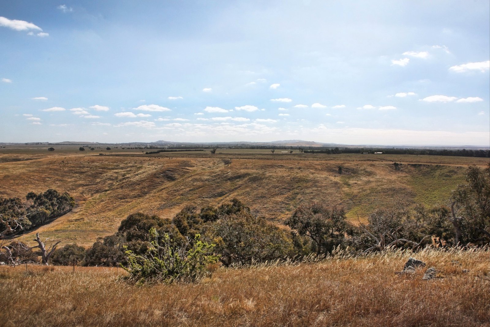 Real Estate and Property in 490 Settlement Road, Sunbury, VIC