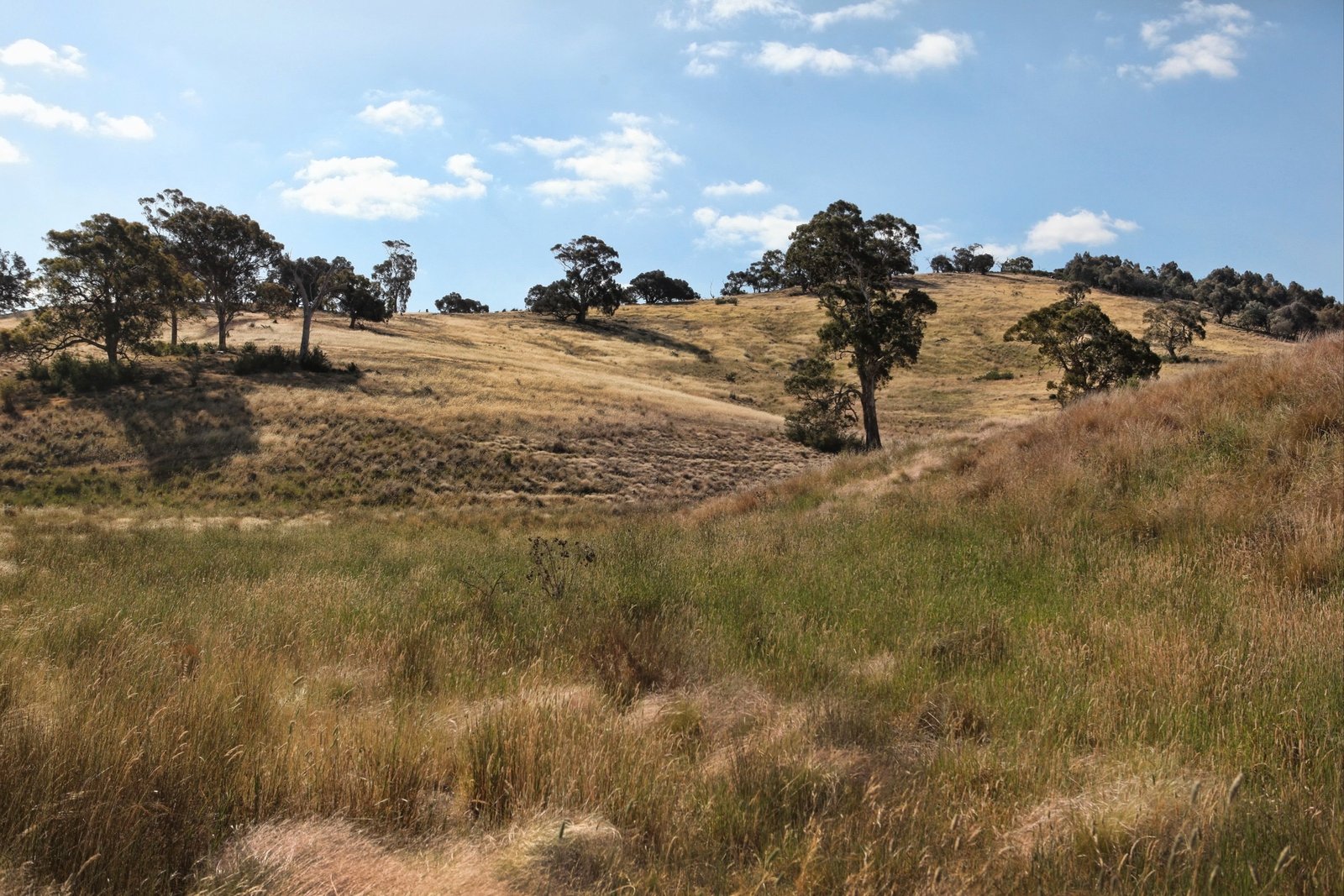 Real Estate and Property in 490 Settlement Road, Sunbury, VIC