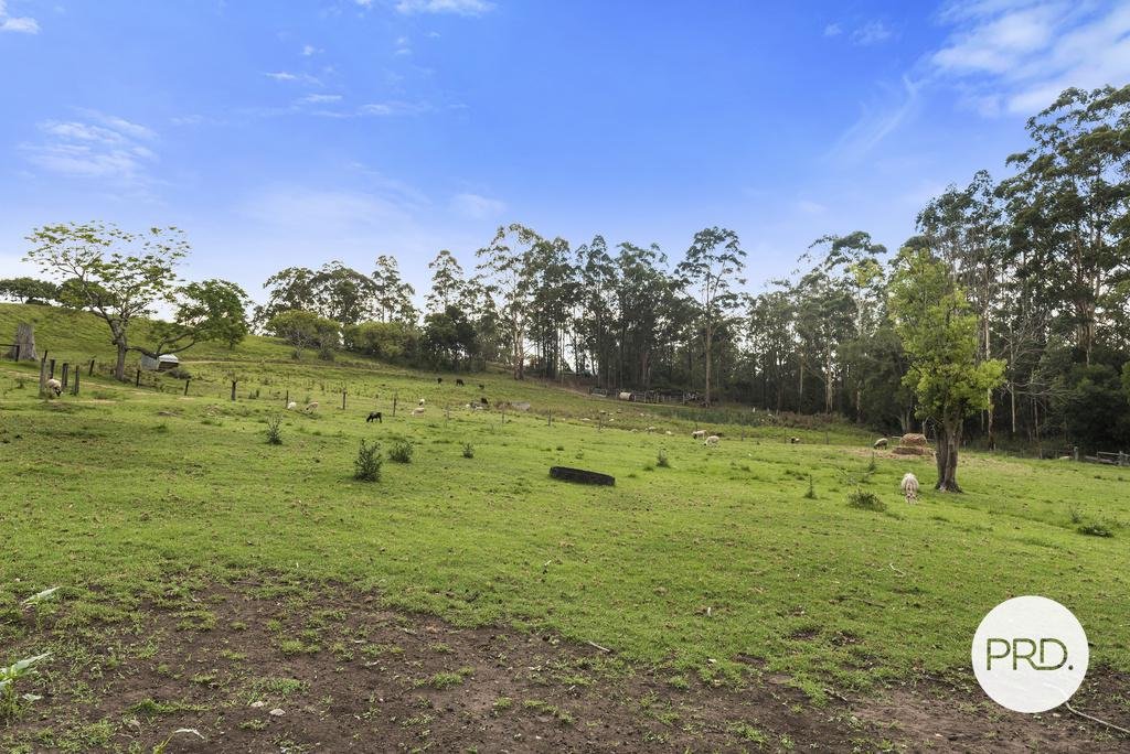 492 Timber Top Road GLENREAGH 10