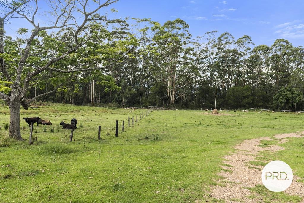 492 Timber Top Road GLENREAGH 33