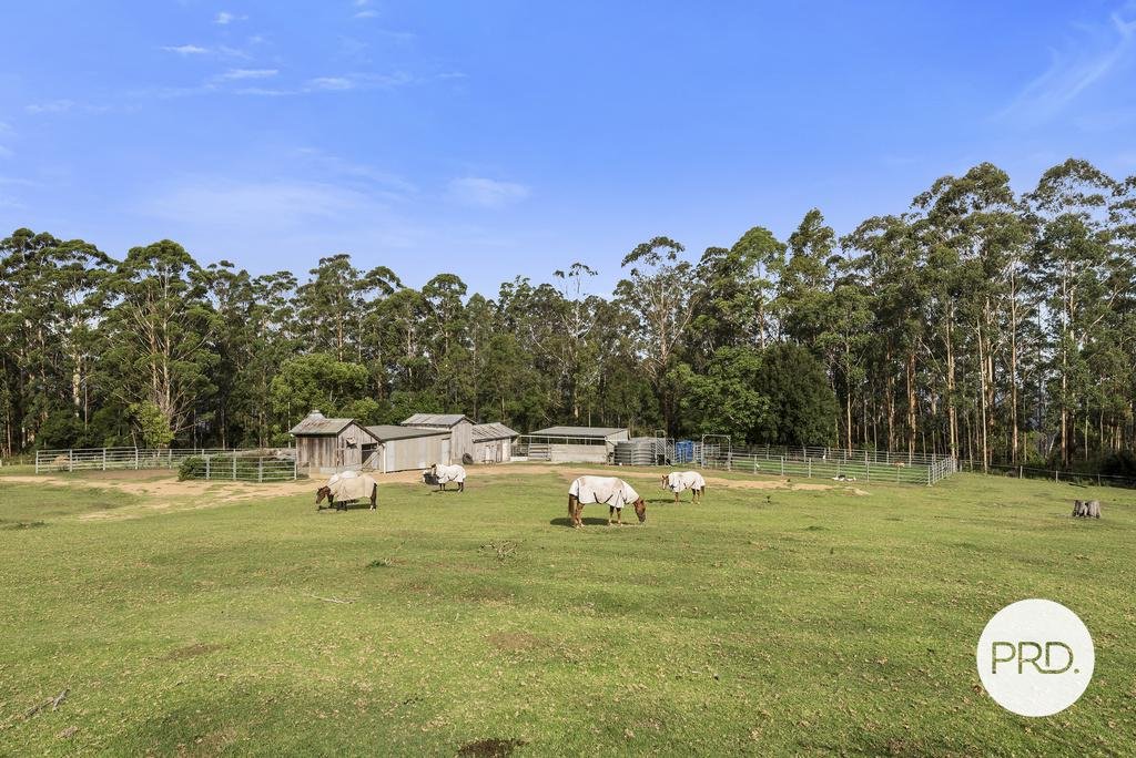 492 Timber Top Road GLENREAGH 34