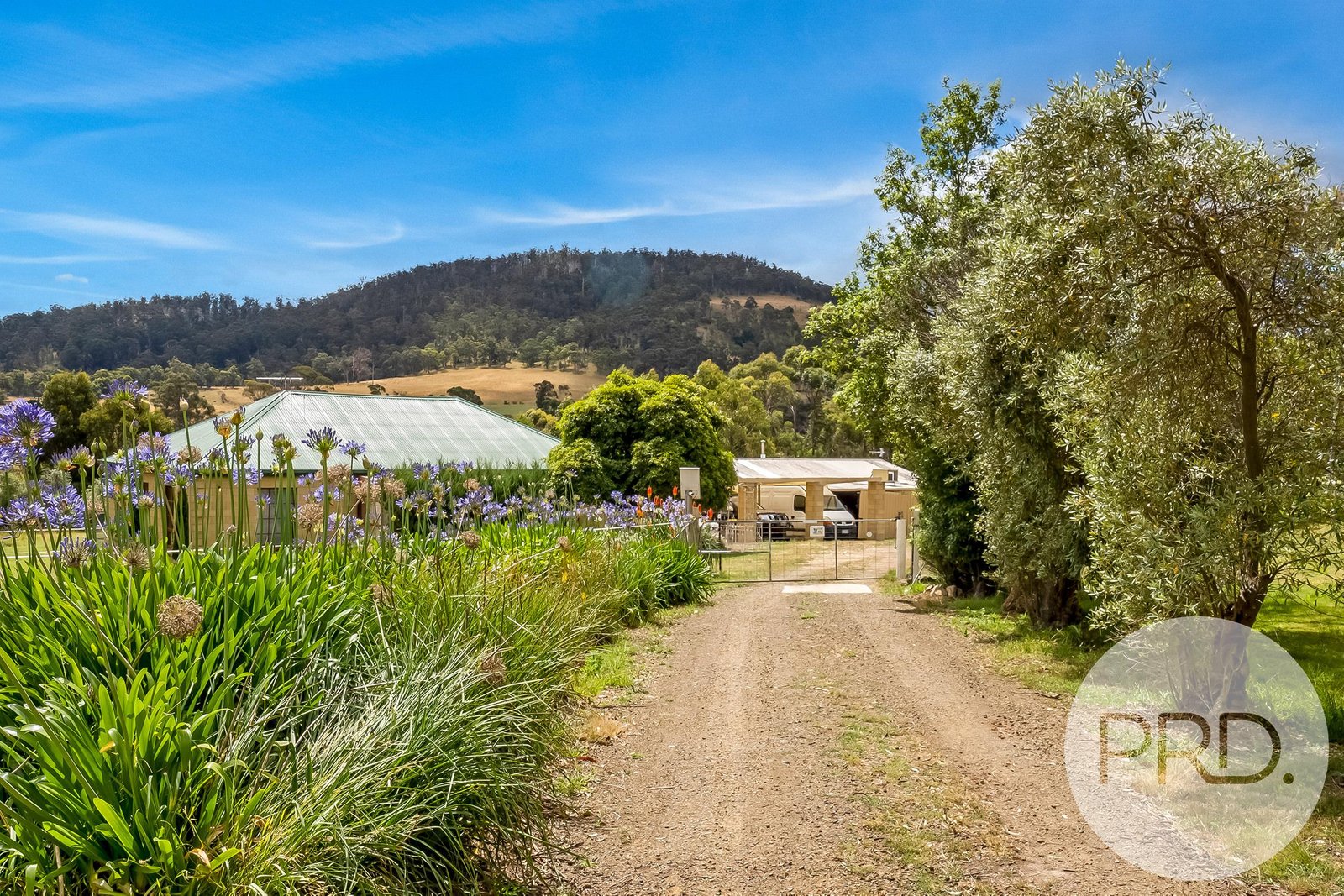 493 Pawleena Road PAWLEENA 1