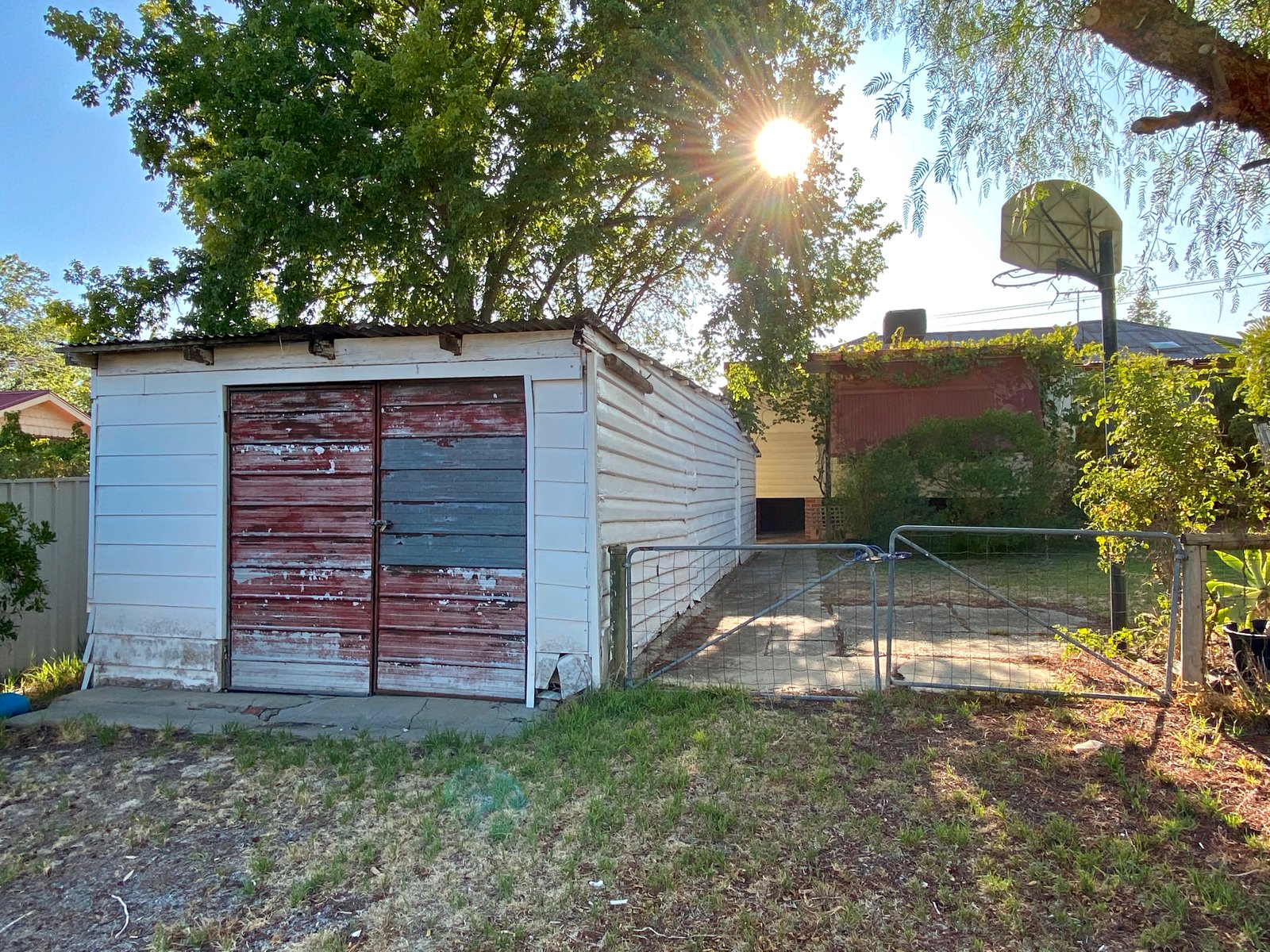 493 Schubach Street EAST ALBURY 14