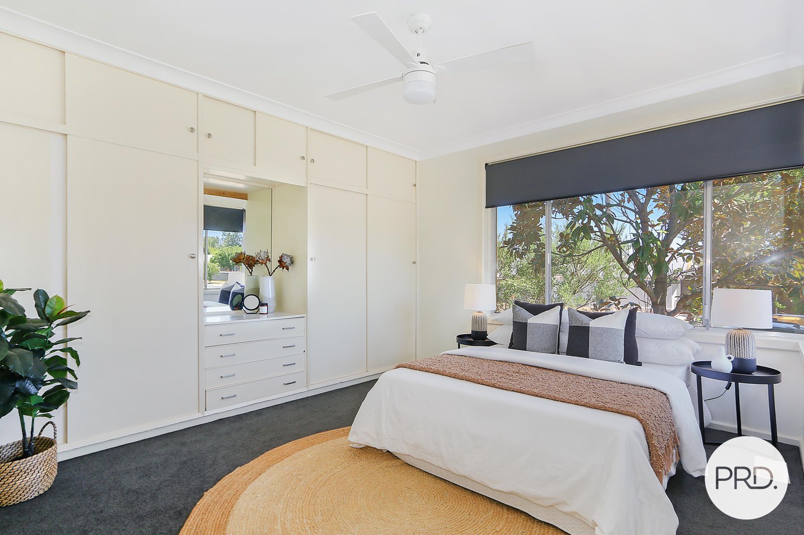 494 Hartley Street LAVINGTON 13