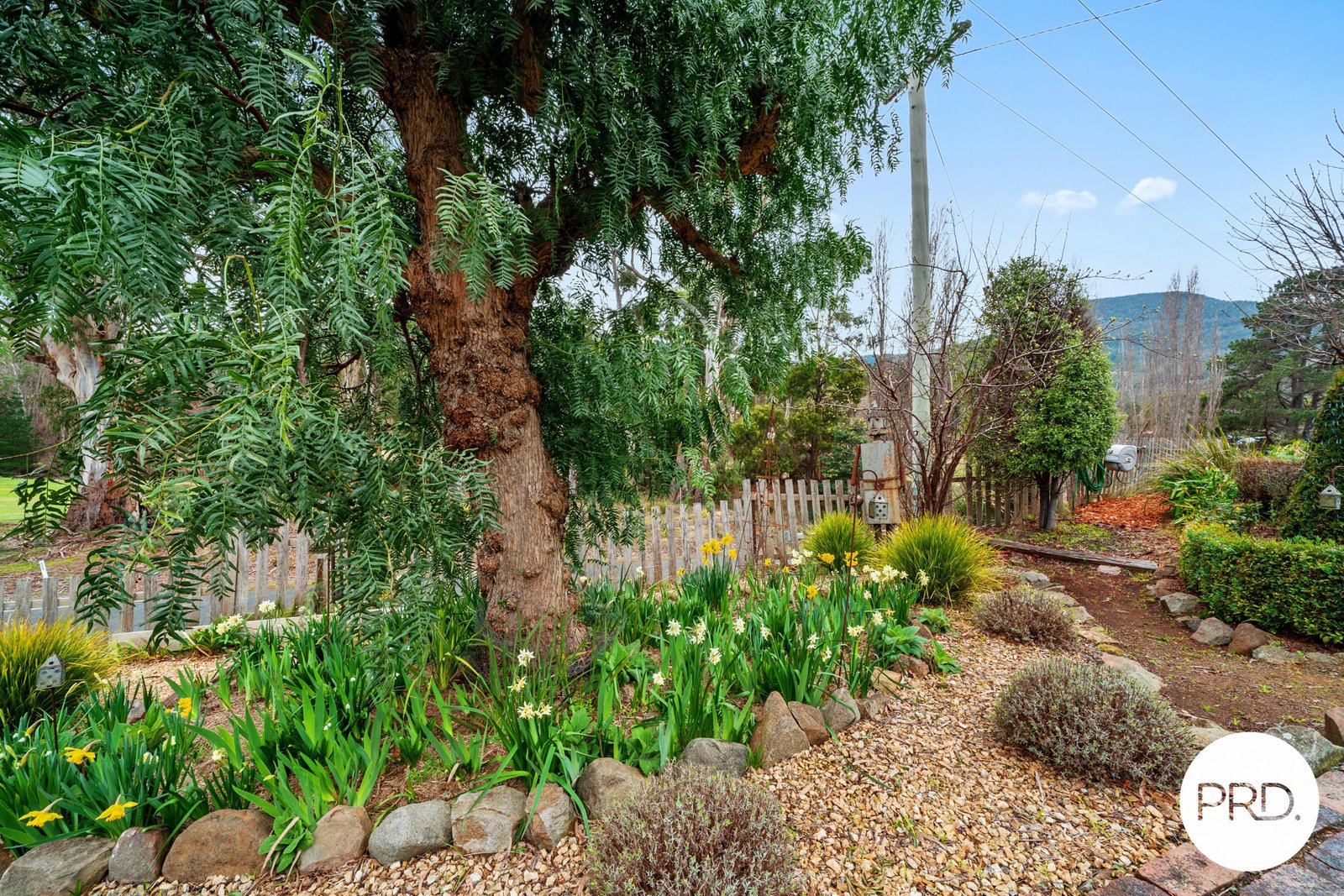 494 Molesworth Road MOLESWORTH 30