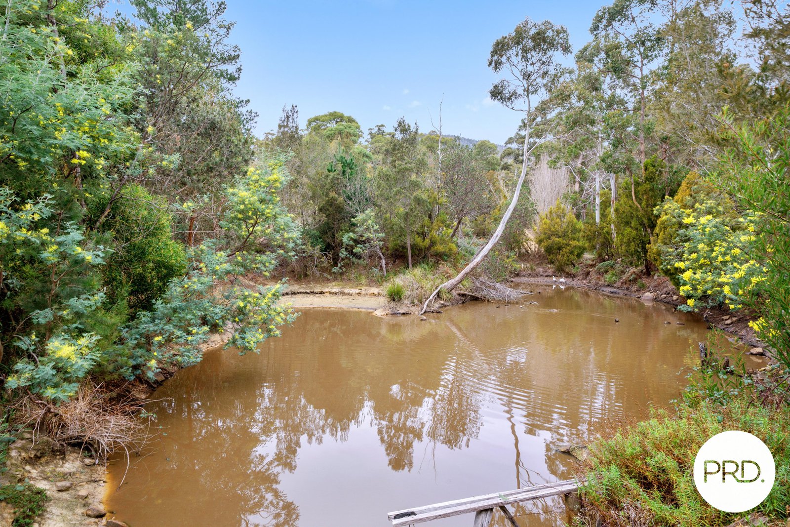 494 Molesworth Road MOLESWORTH 33