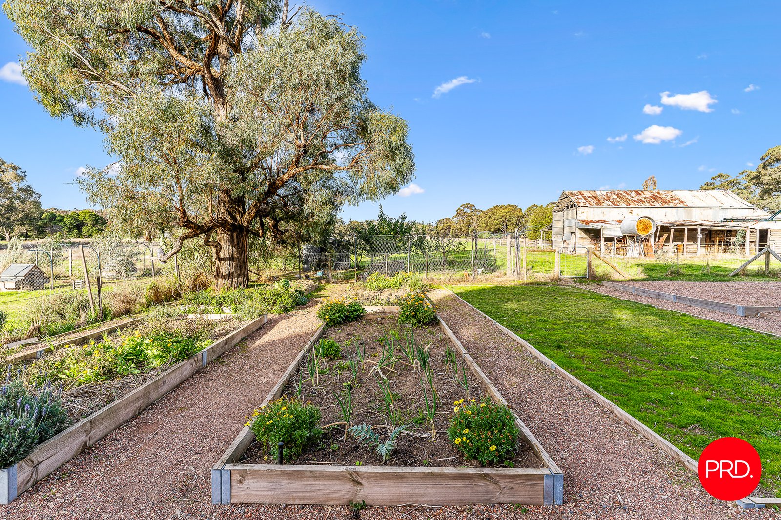 494 Muckleford-Walmer Road MUCKLEFORD 23