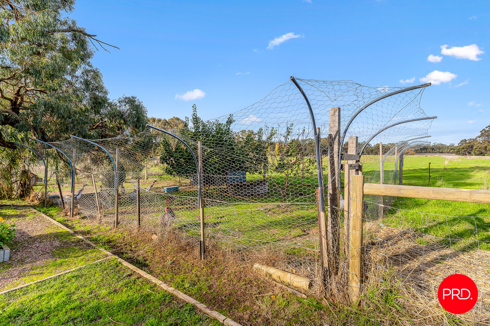 494 Muckleford-Walmer Road MUCKLEFORD 25