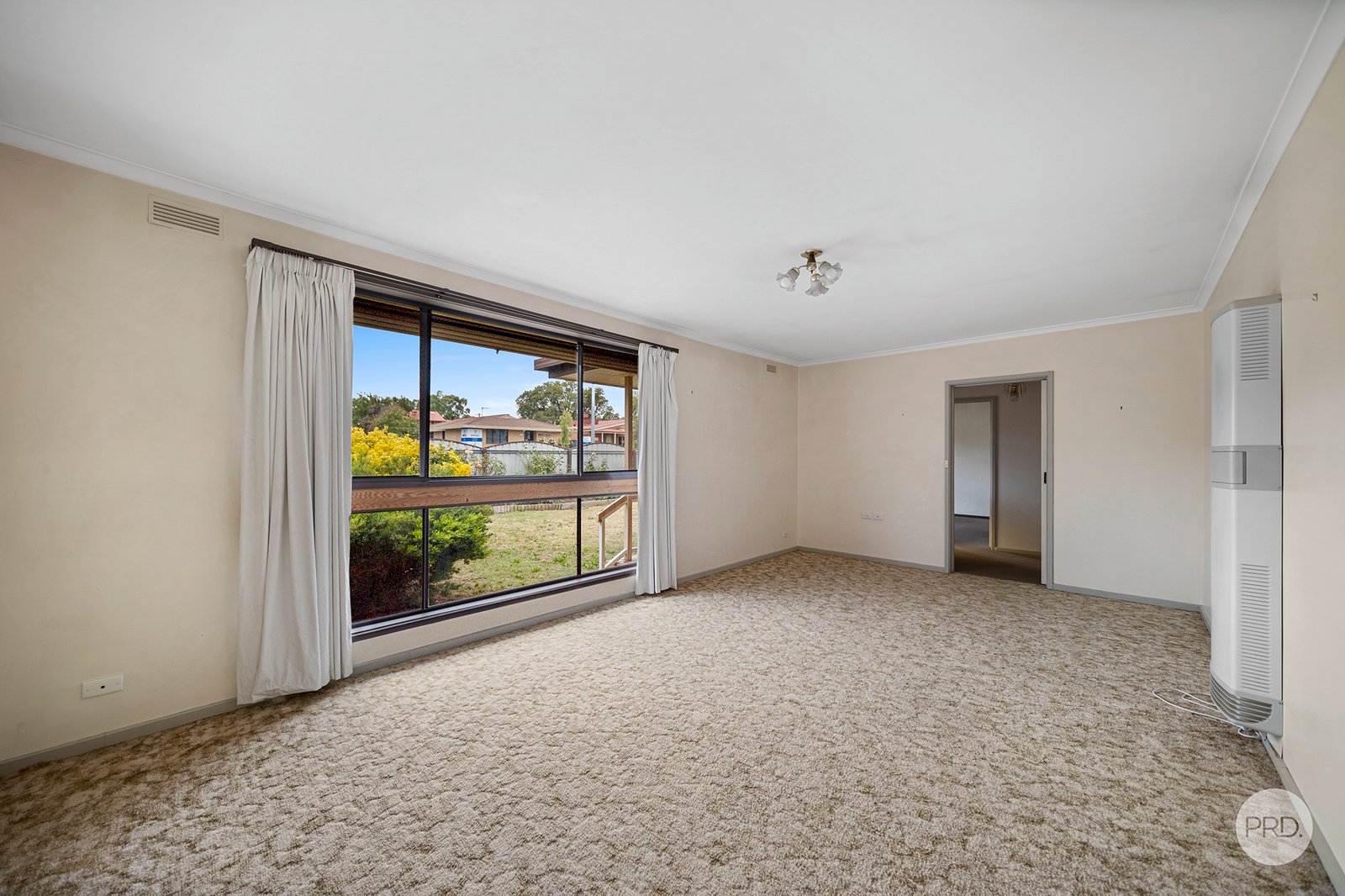495 Napier Street WHITE HILLS 4
