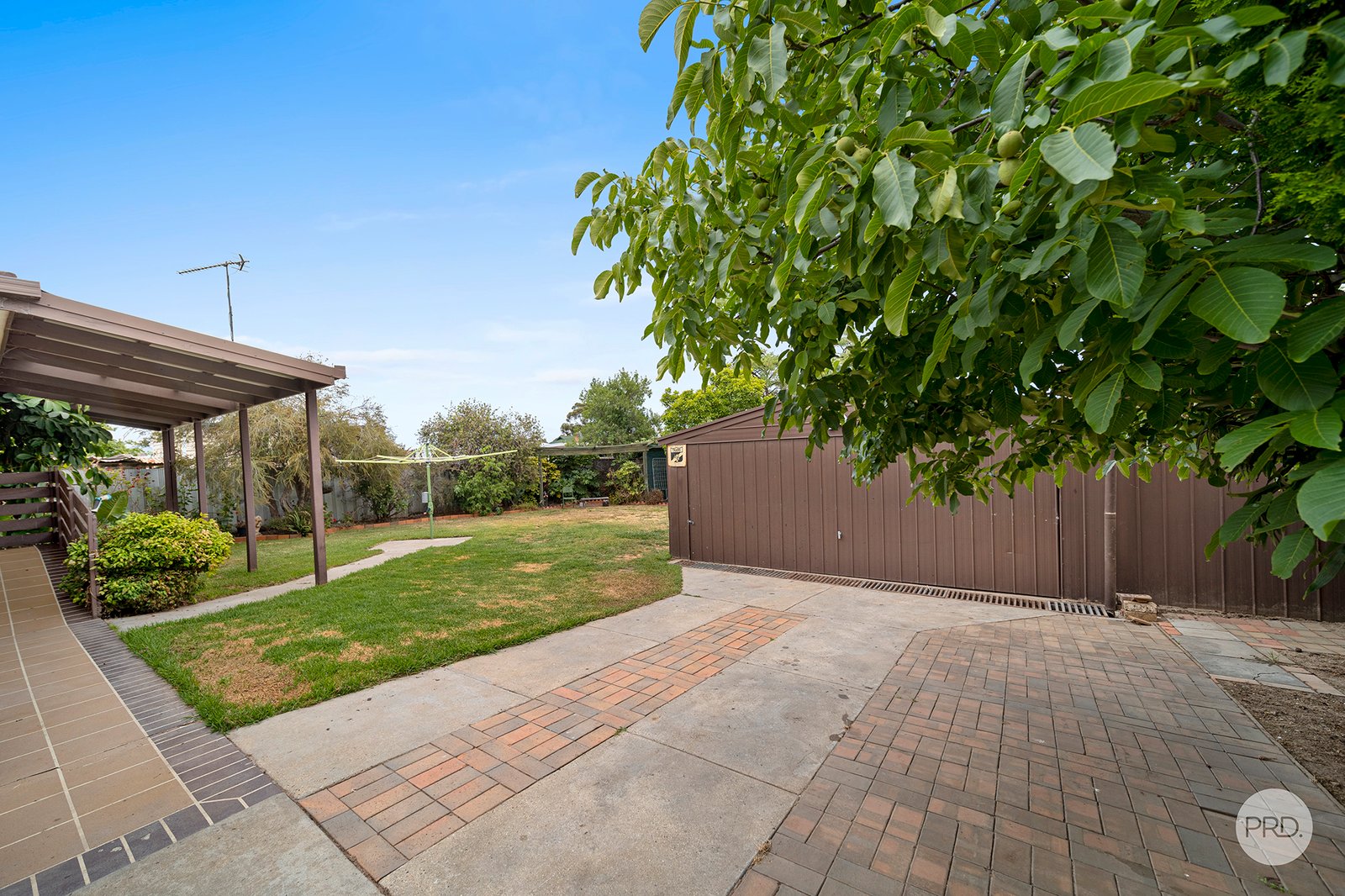 495 Napier Street WHITE HILLS 14