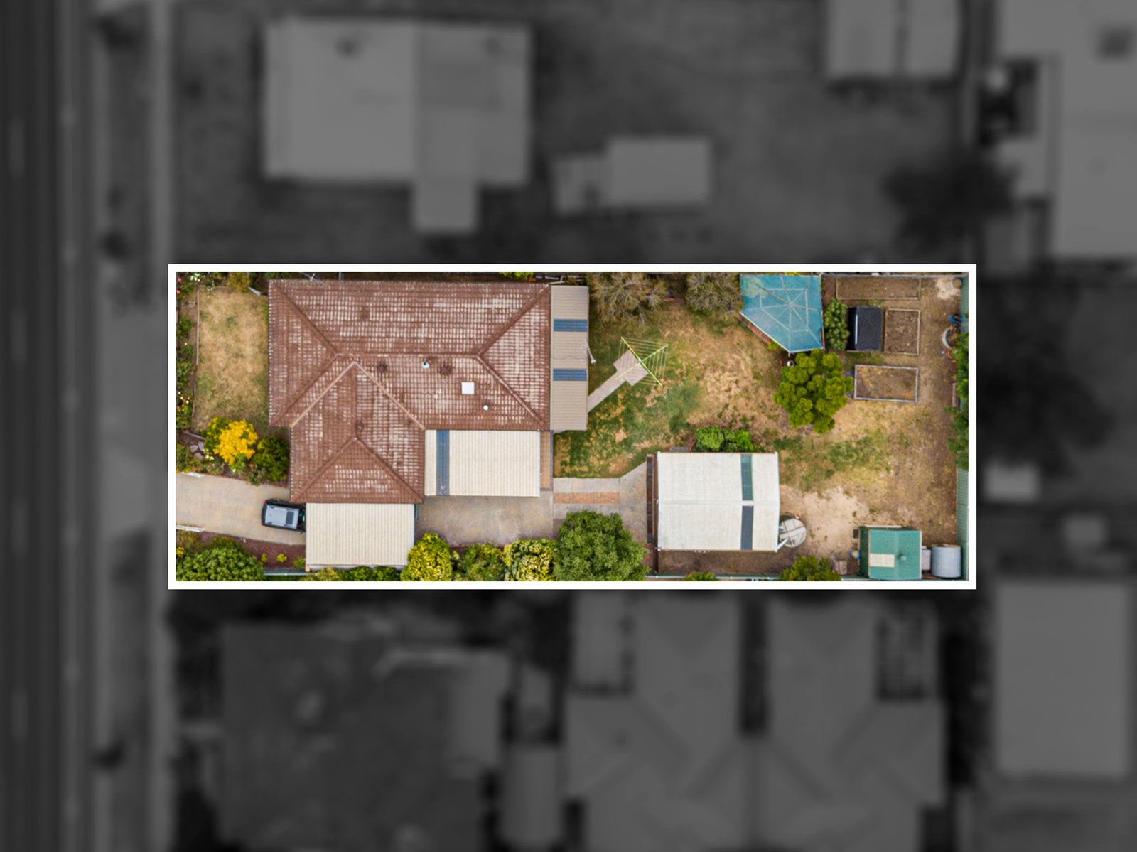 495 Napier Street WHITE HILLS 17