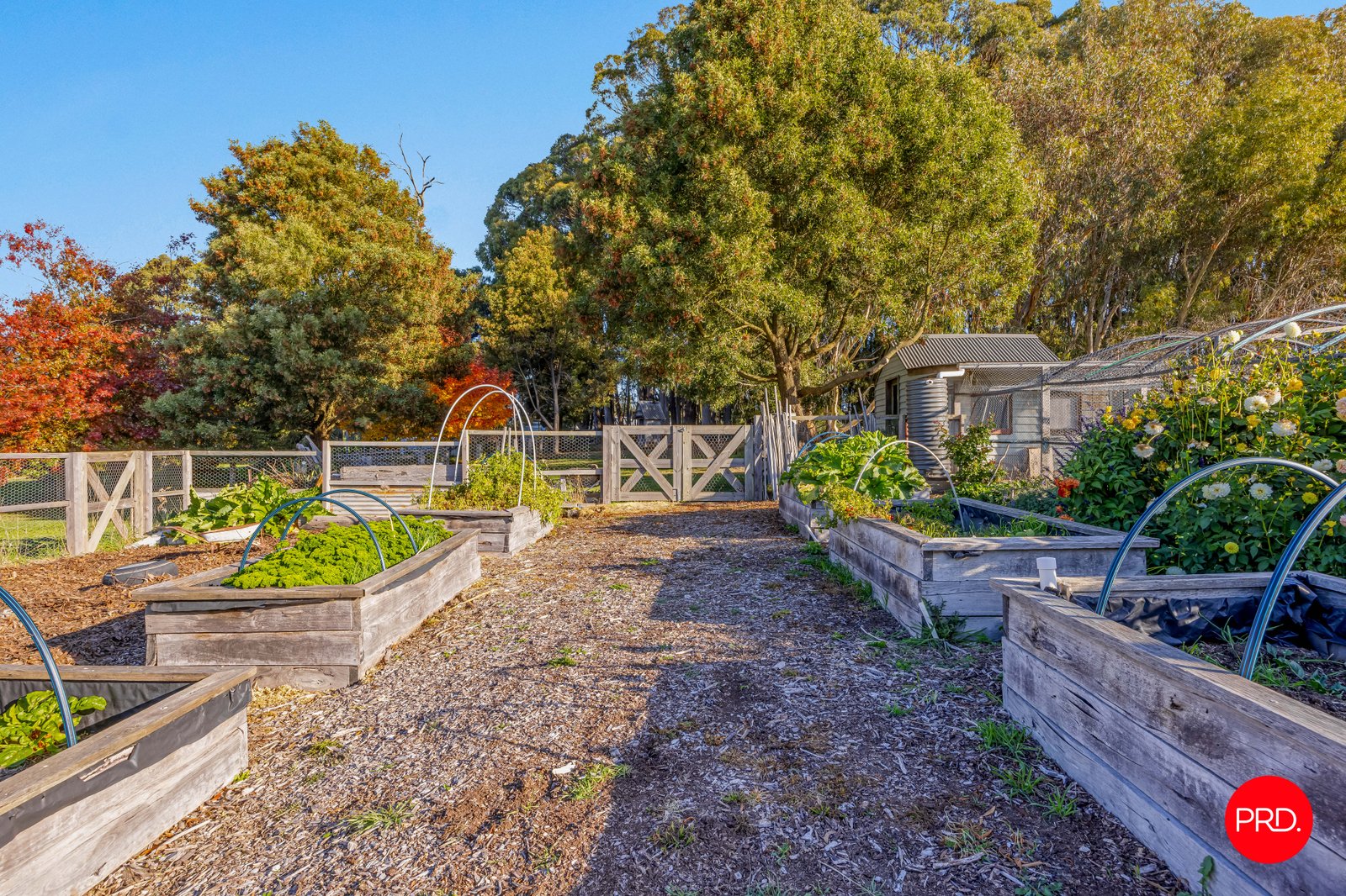 495 Trentham Springhill Road TRENTHAM 23