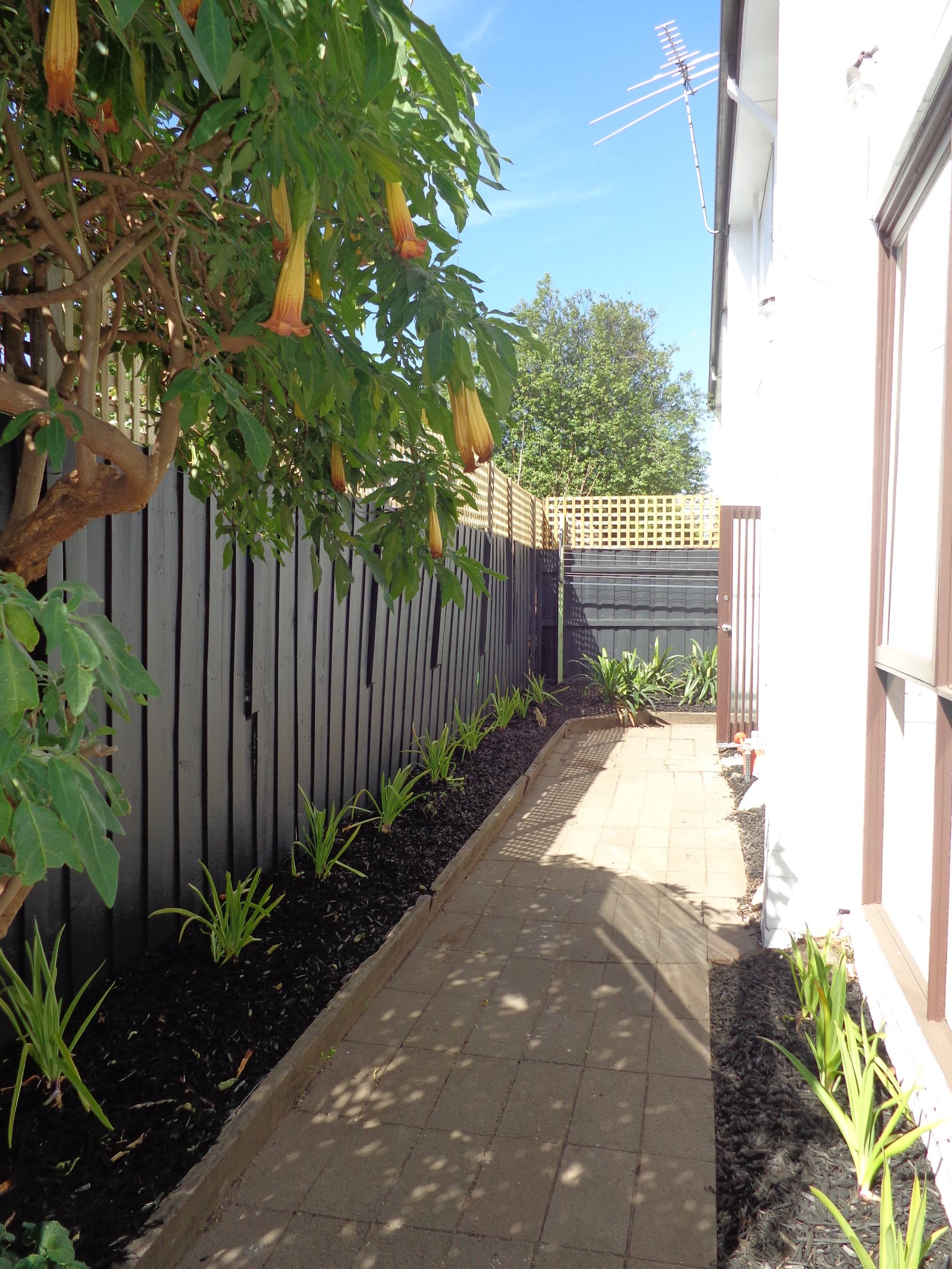 Gallery: 4/98 Warrigal Road