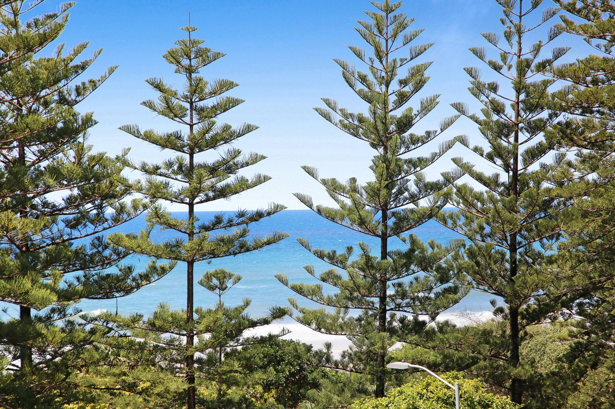 4D/238 The Esplanade Burleigh Heads 2