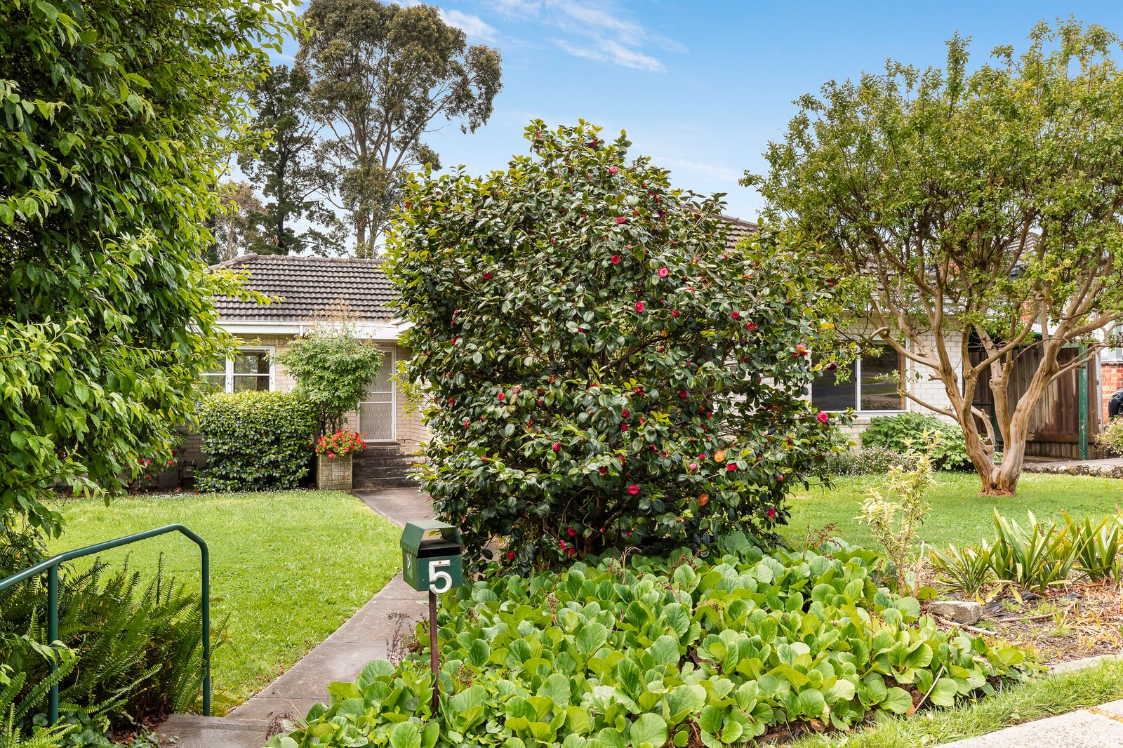 5 Abbott Street, Balwyn North, 3104