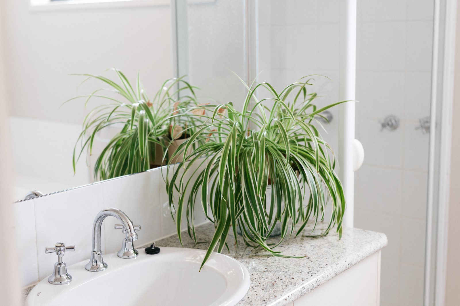 Real Estate and Property in 5 Adam Close, Woodend, VIC