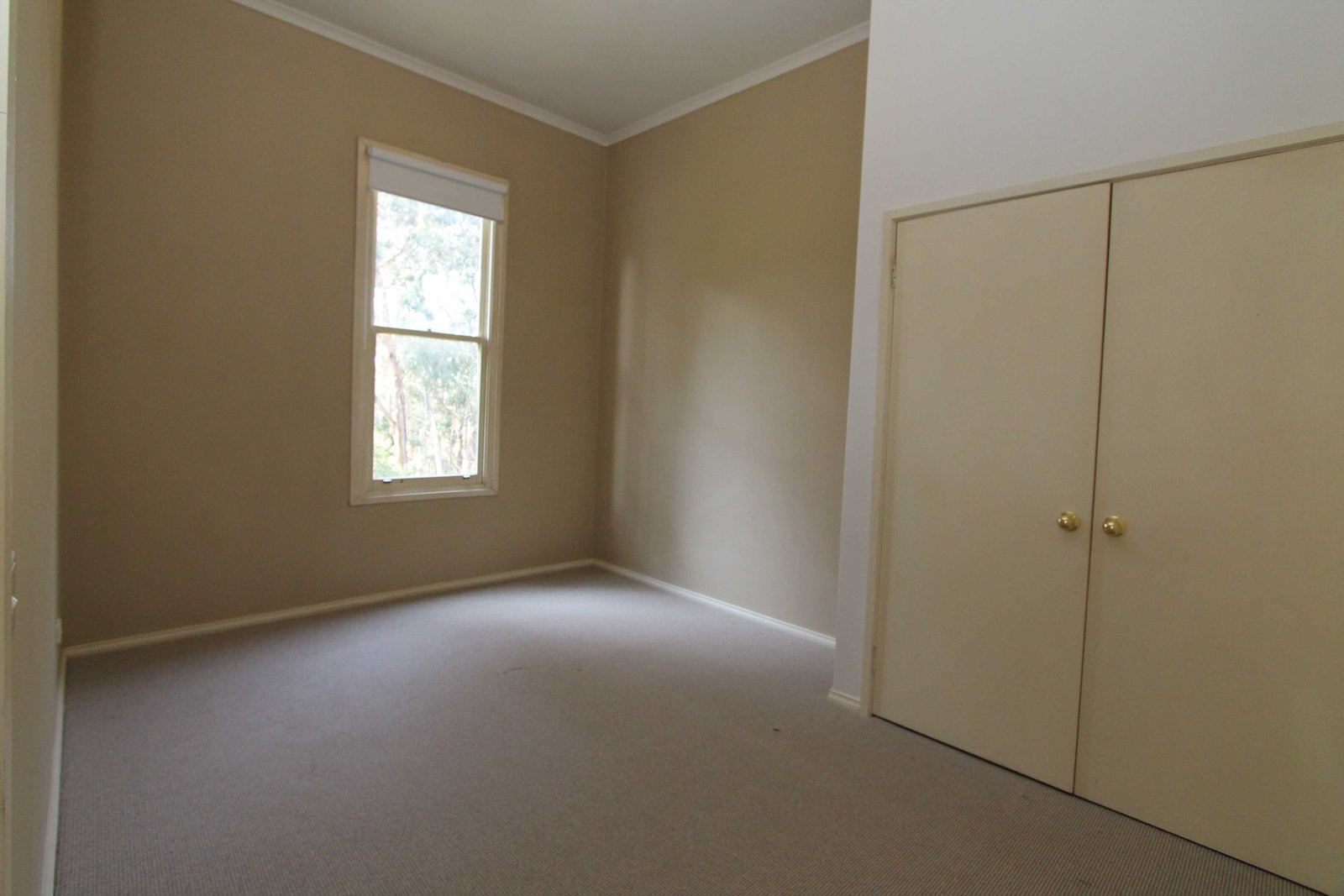 5 Alexander Court CRESWICK 7