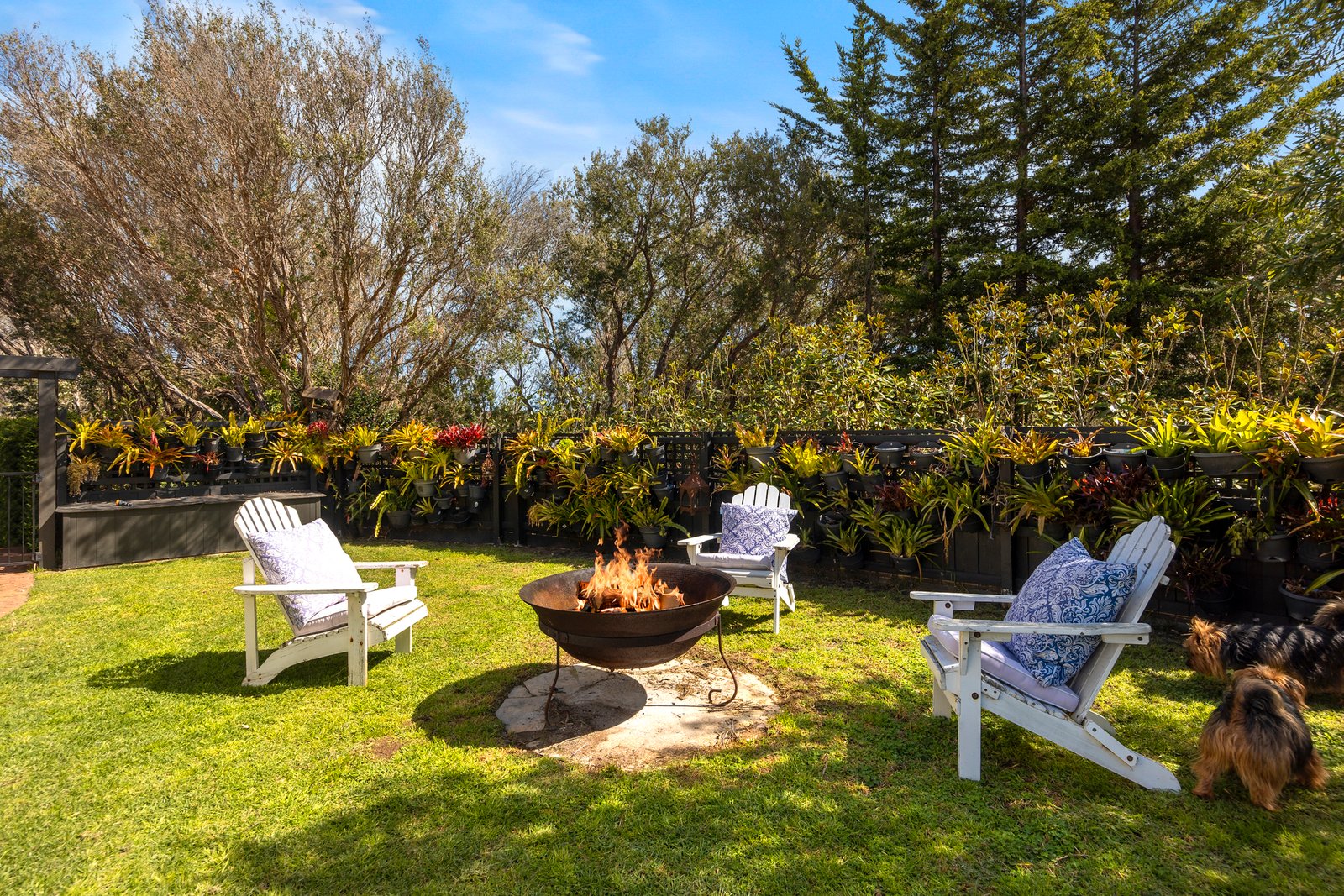 Real Estate and Property in 5 Alexandra Crescent, Rye, VIC