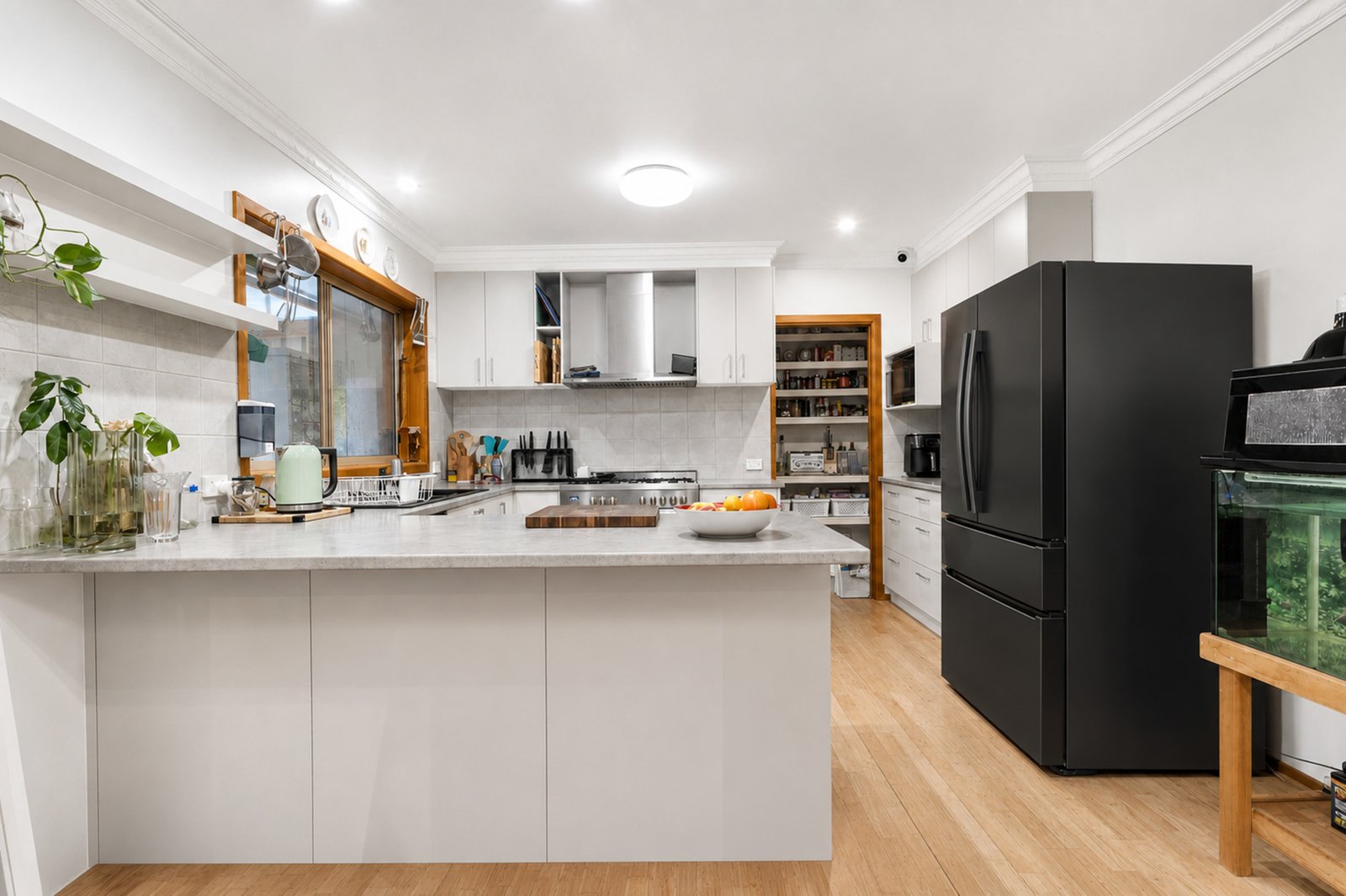 5 Amanda Avenue CORIO 4