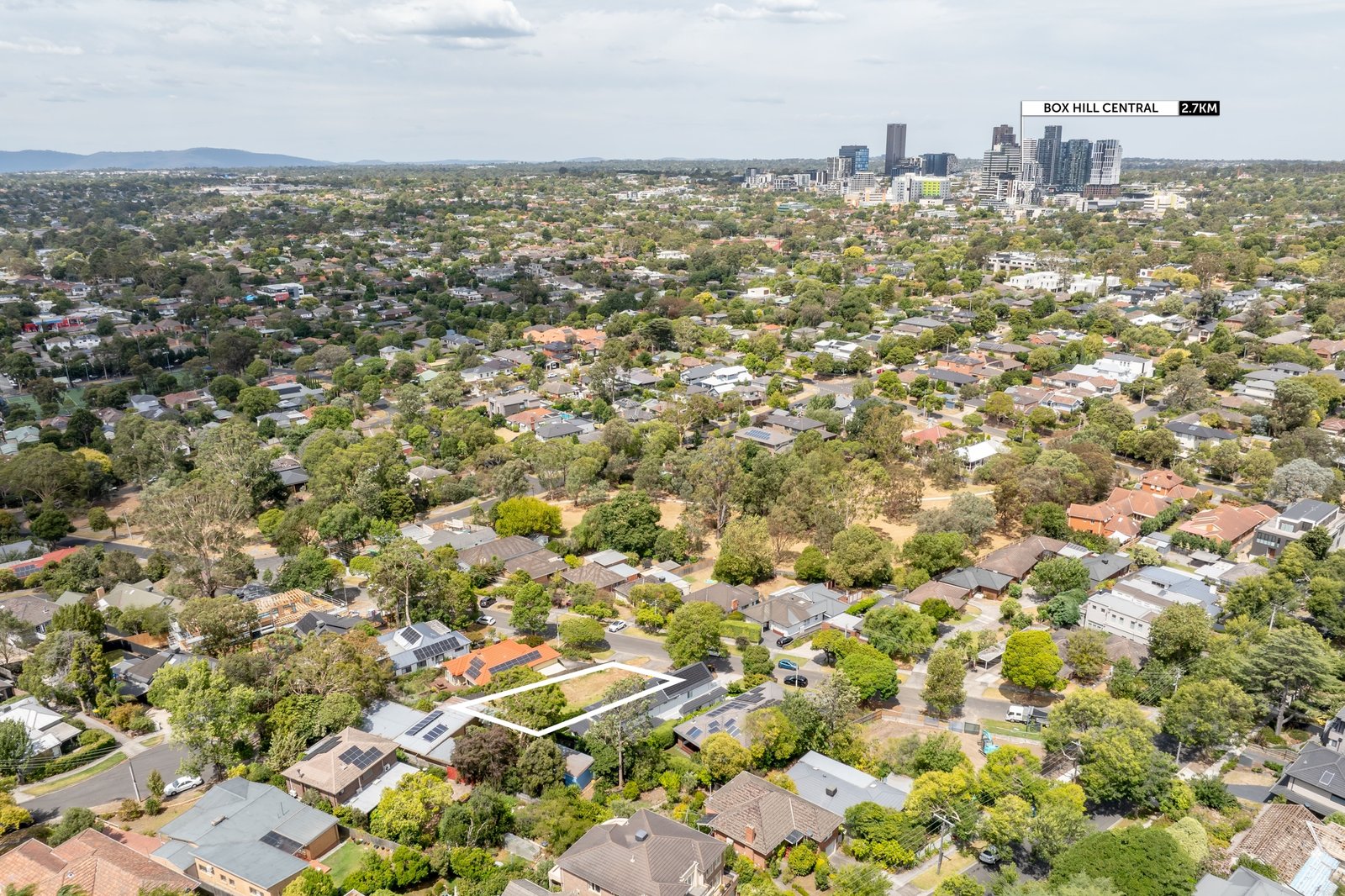 Gallery: 5 Arnott Street