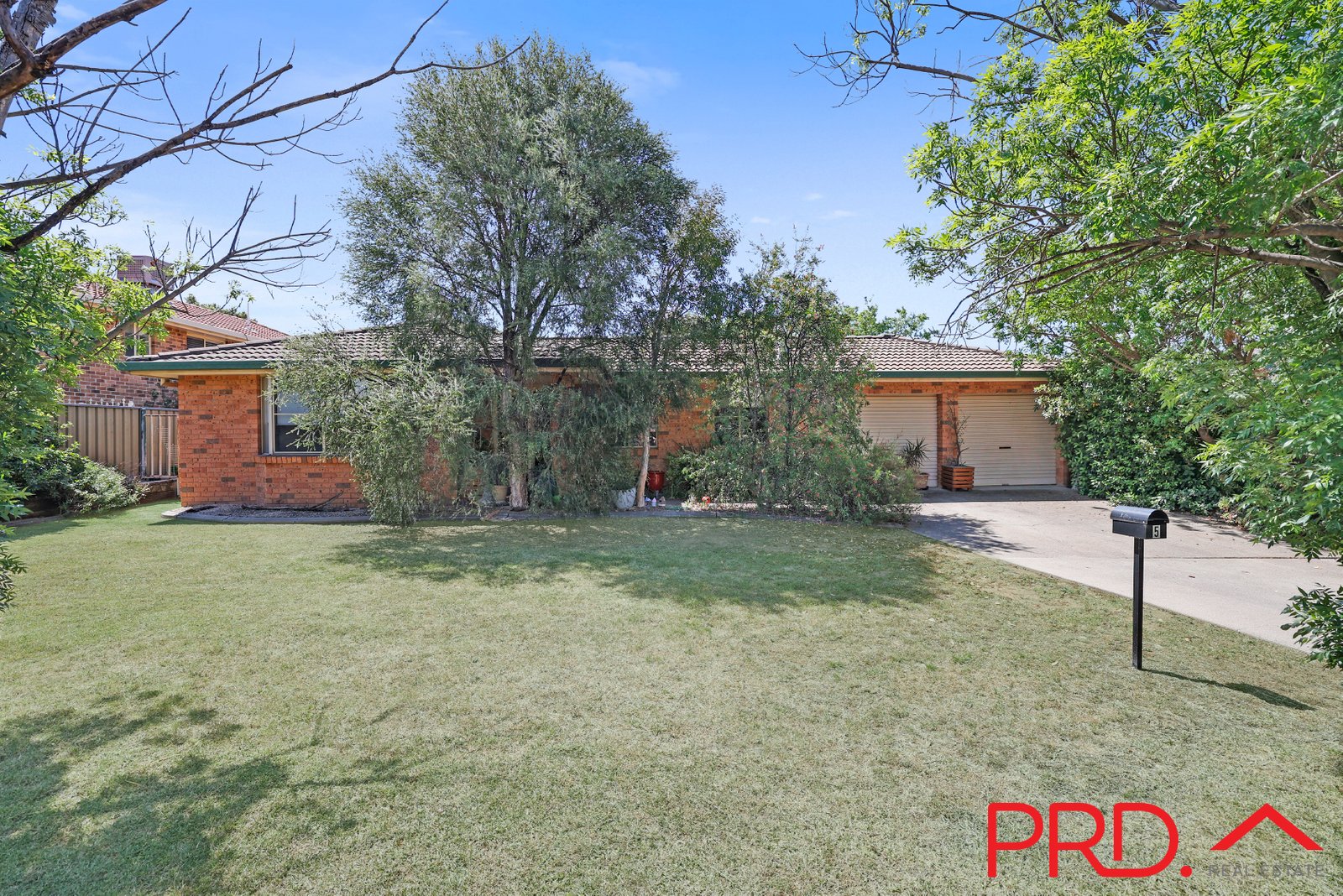 5 Banjos Circuit TAMWORTH 1