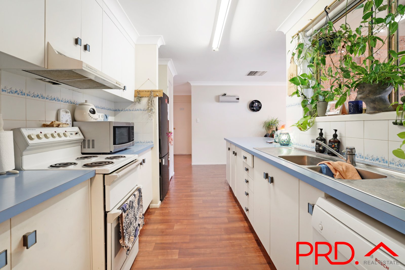 5 Banjos Circuit TAMWORTH 6