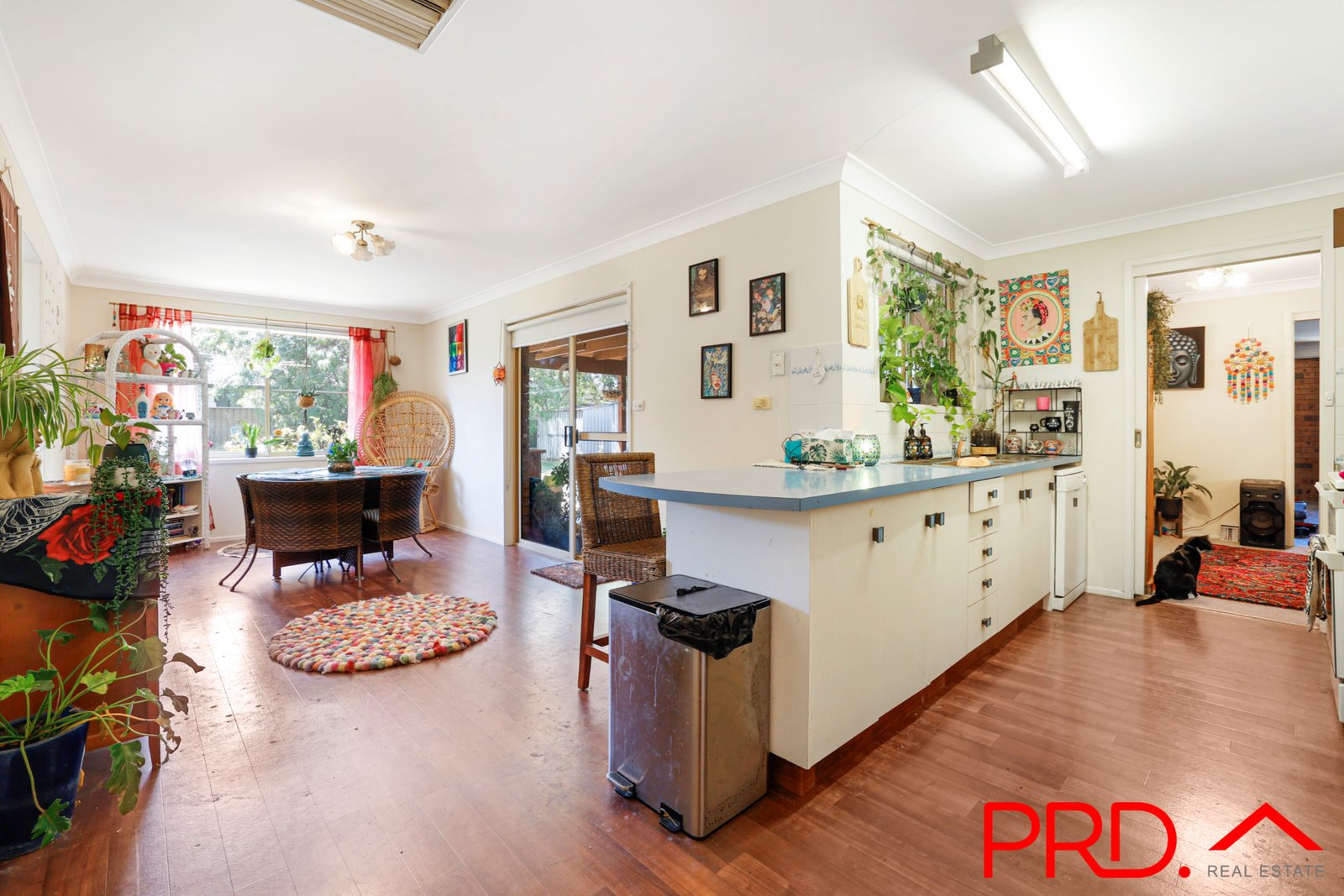 5 Banjos Circuit TAMWORTH 7