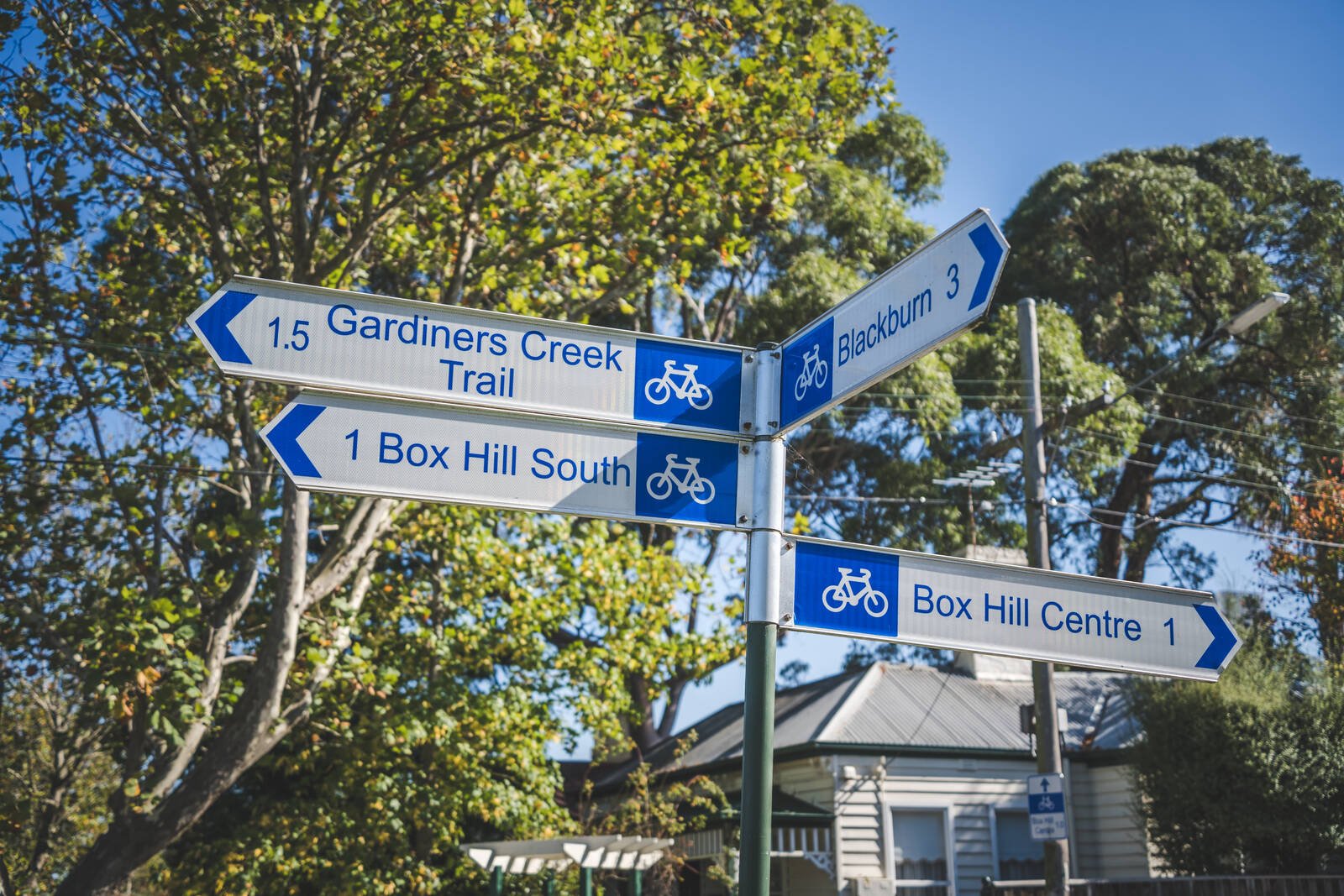 Real Estate and Property in 5 Barkly Street, Box Hill, VIC