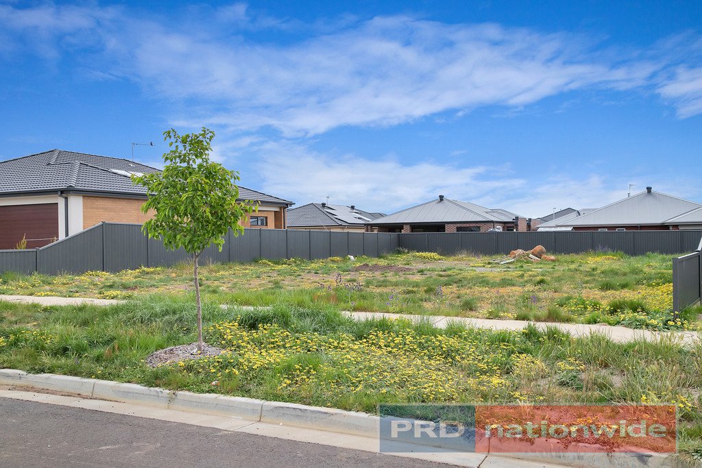 5 Bayfield Street Lucas 6