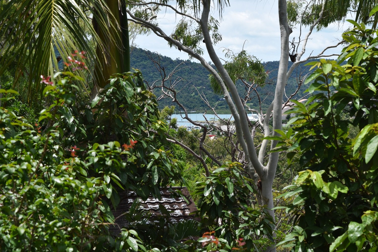 5 Begley Street AIRLIE BEACH 1