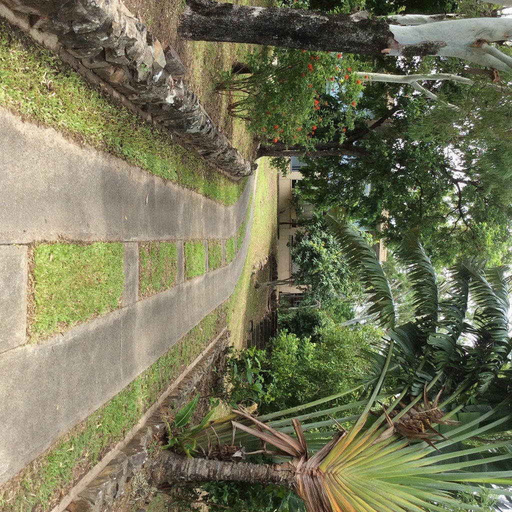 5 Begley Street AIRLIE BEACH 6