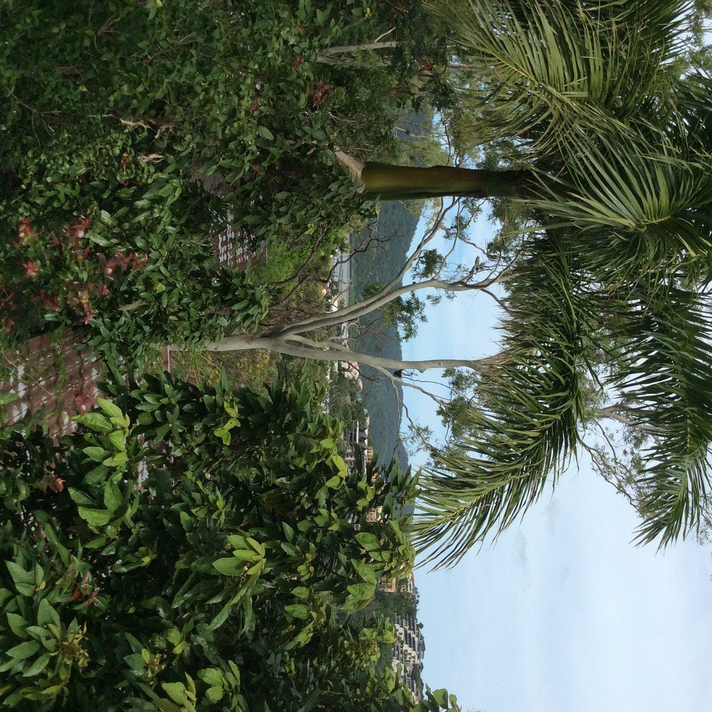 5 Begley Street AIRLIE BEACH 13