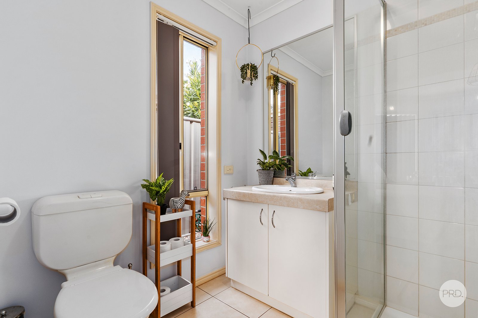 5 Black Wattle Avenue EPSOM 7