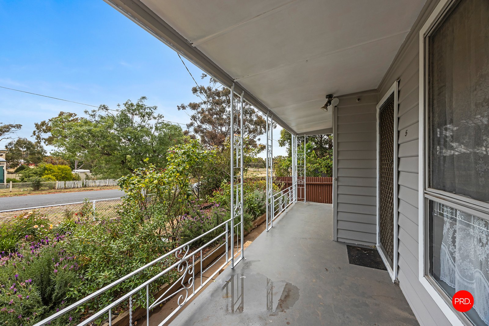 5 Brown Street CALIFORNIA GULLY 2
