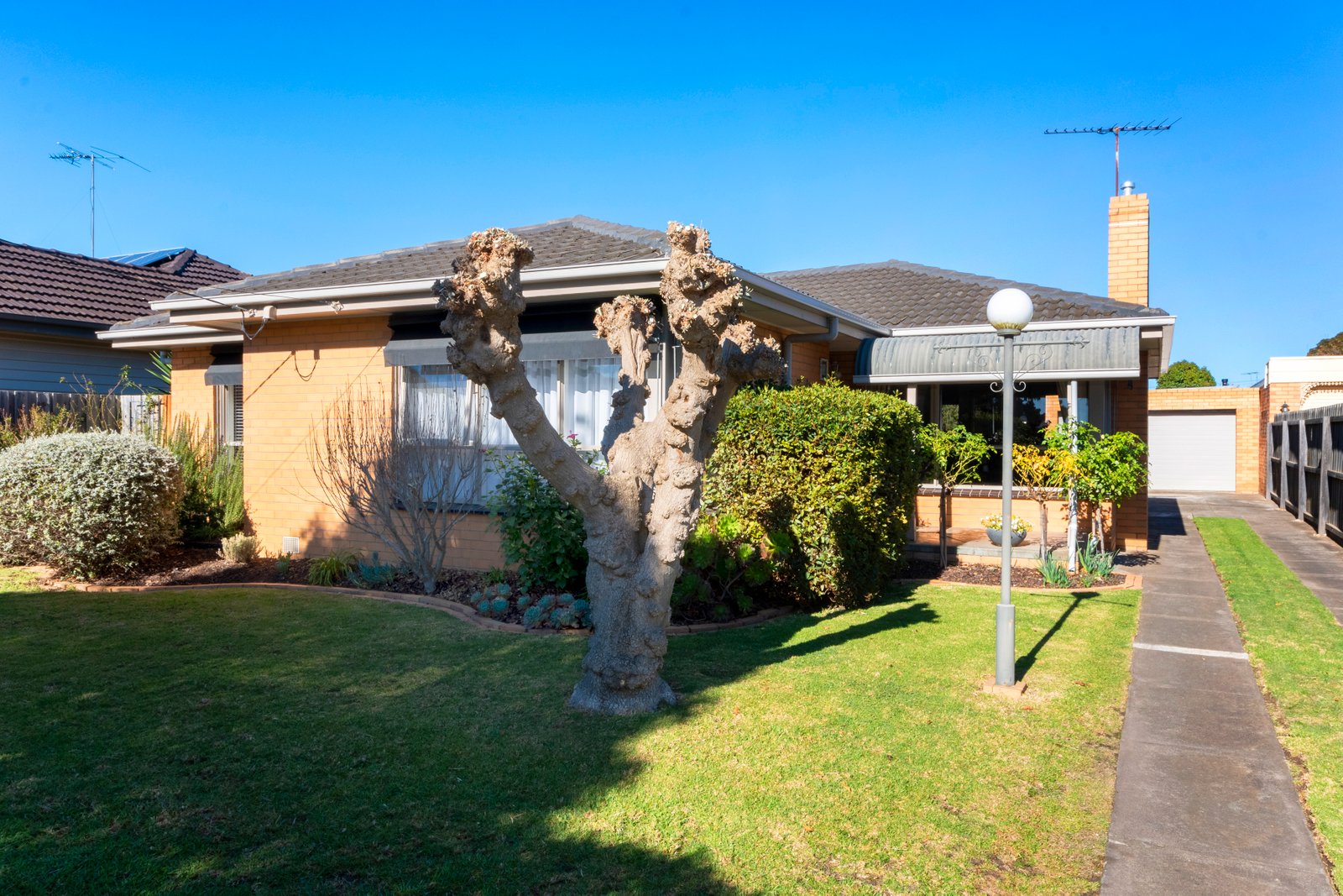 Gallery: 5 Buxton Road