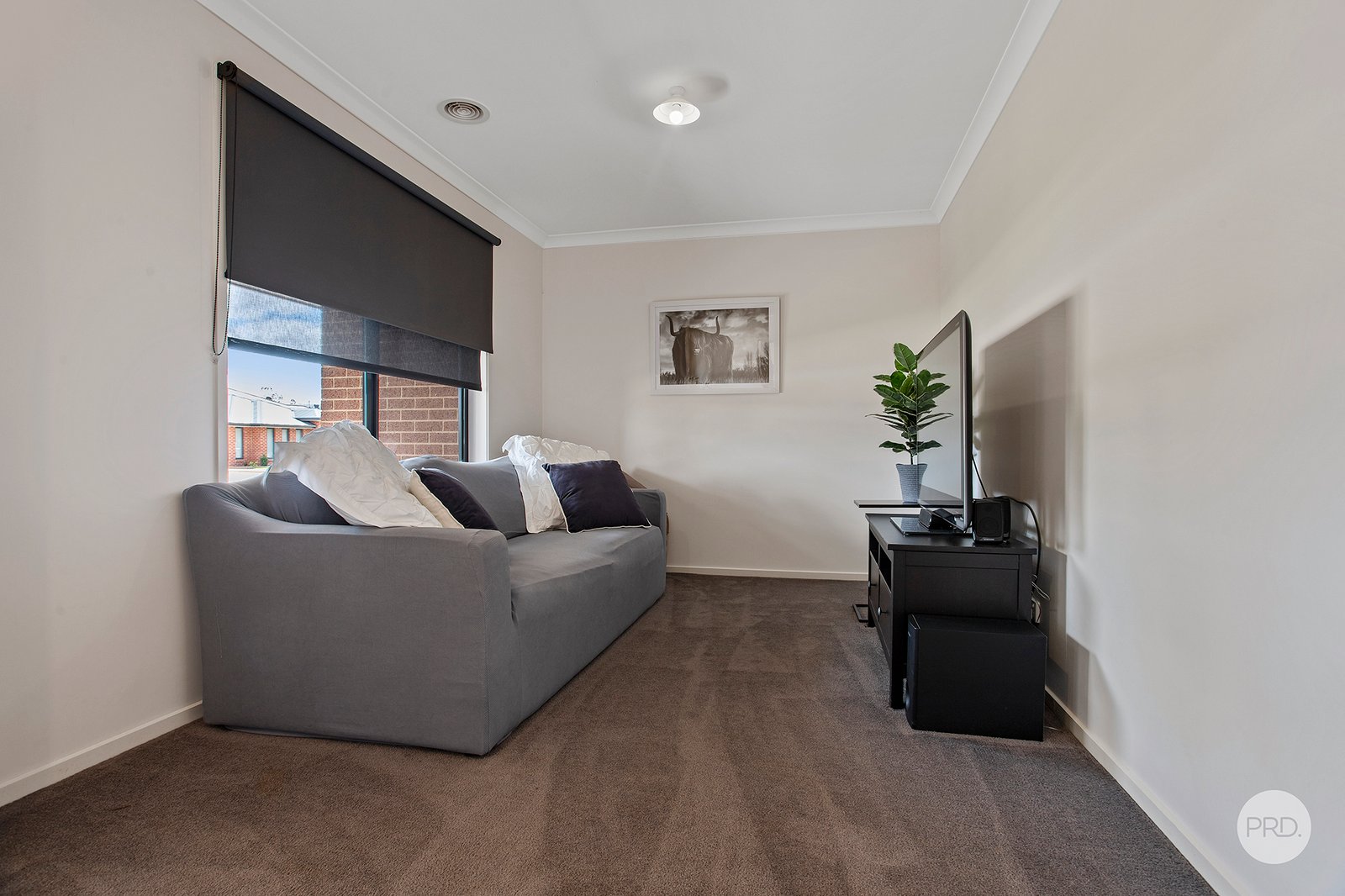5 Buxton Street JACKASS FLAT 8