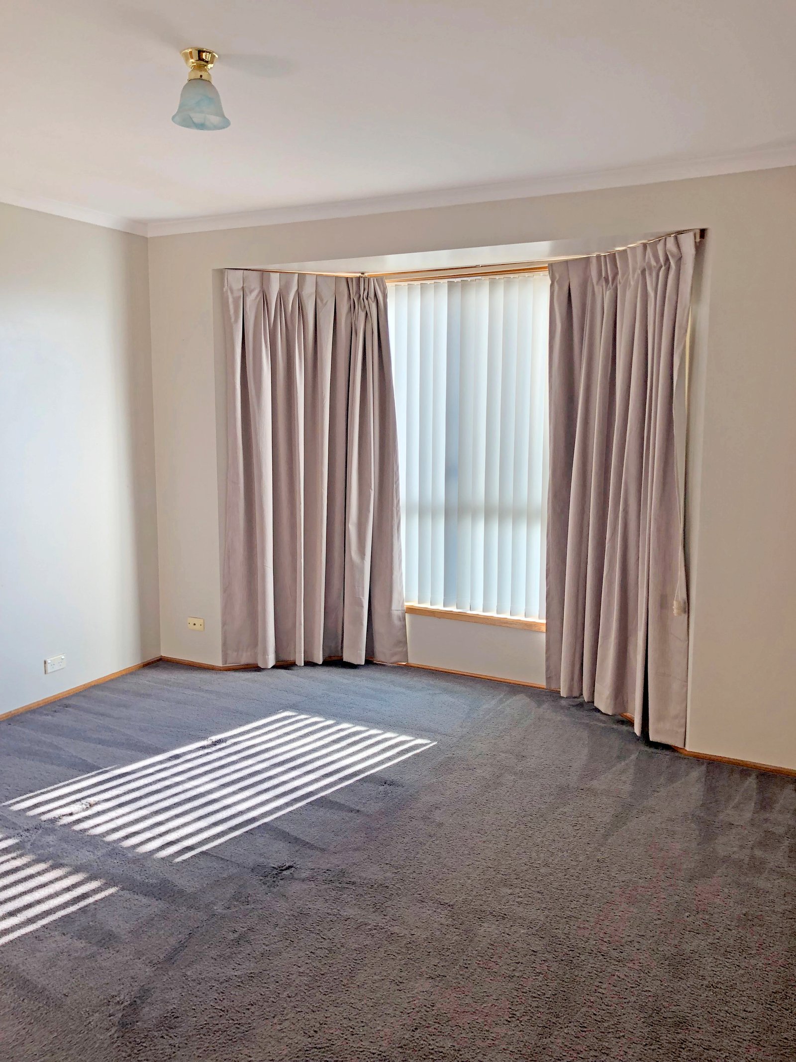 5 Cleary Place BRIGHTON 5