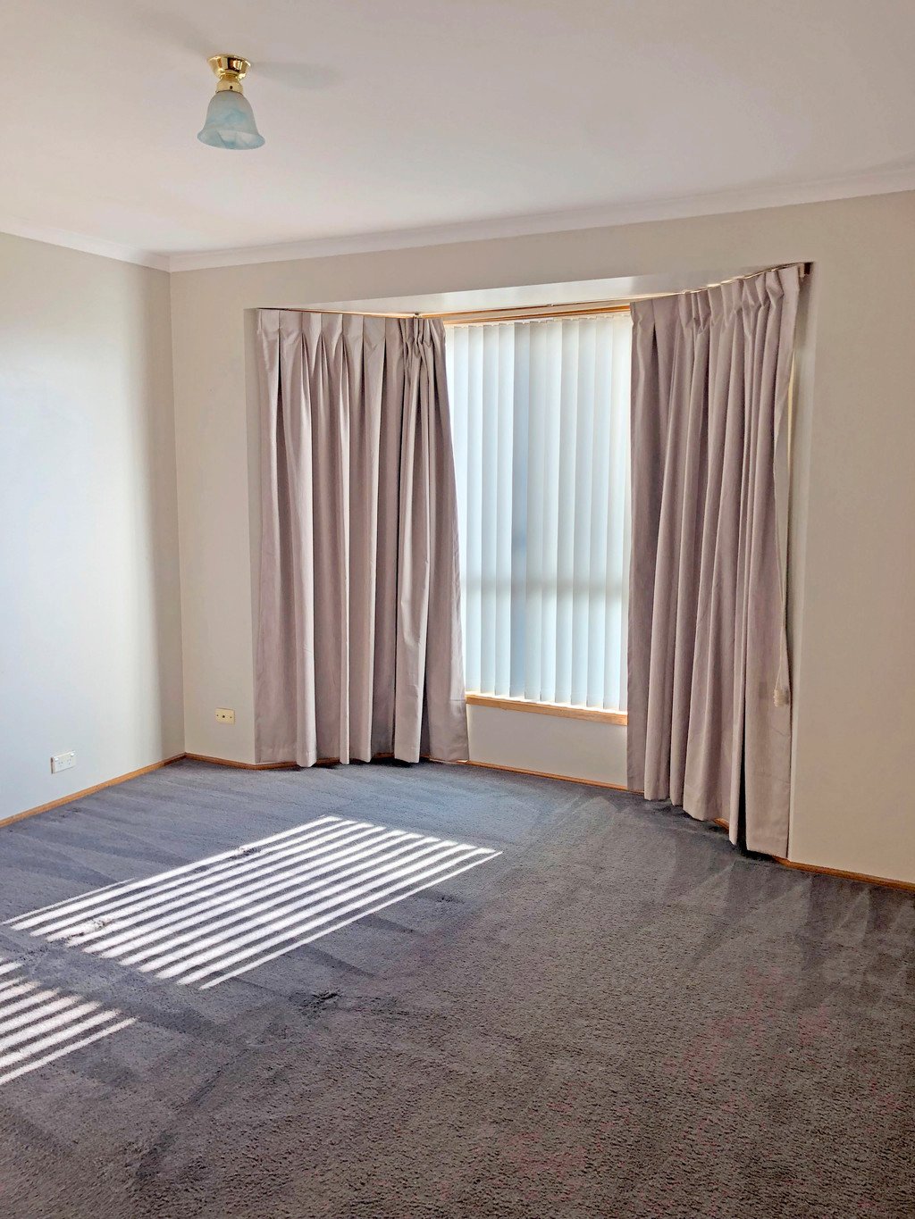 5 Cleary Place BRIGHTON 5