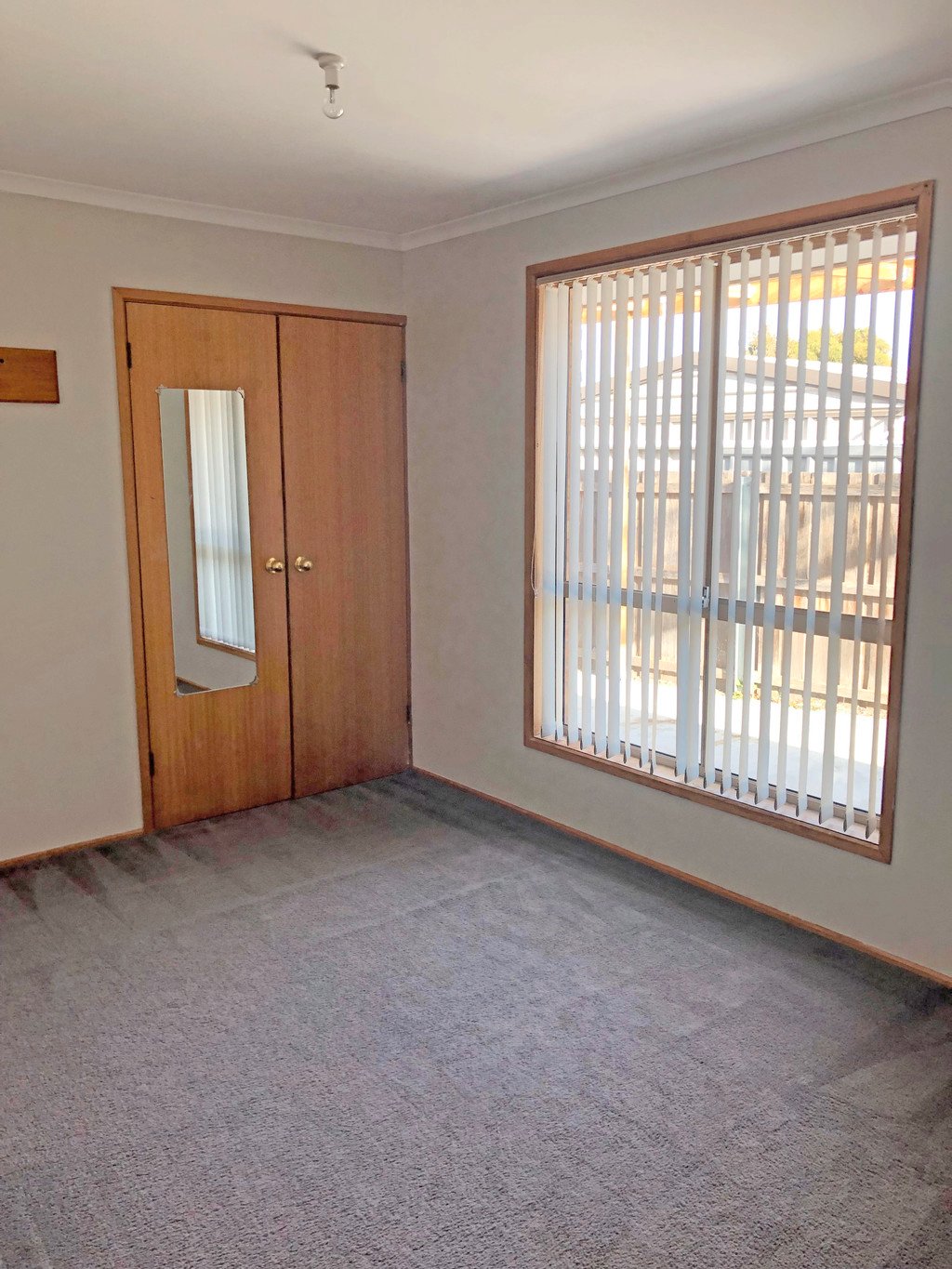 5 Cleary Place BRIGHTON 6