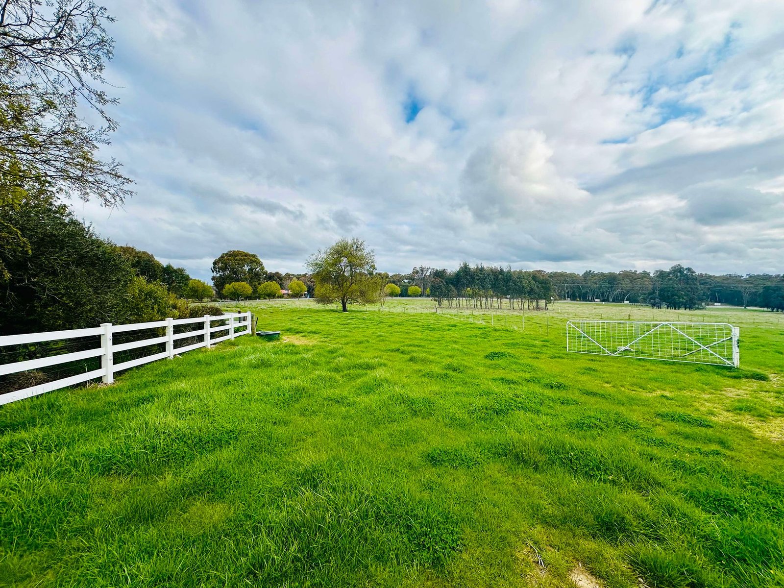 5 Courabyra Road TUMBARUMBA 19