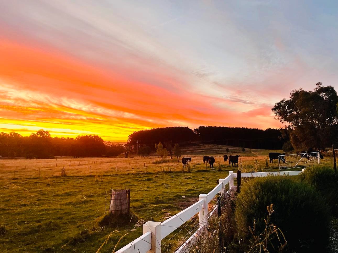 5 Courabyra Road TUMBARUMBA 23