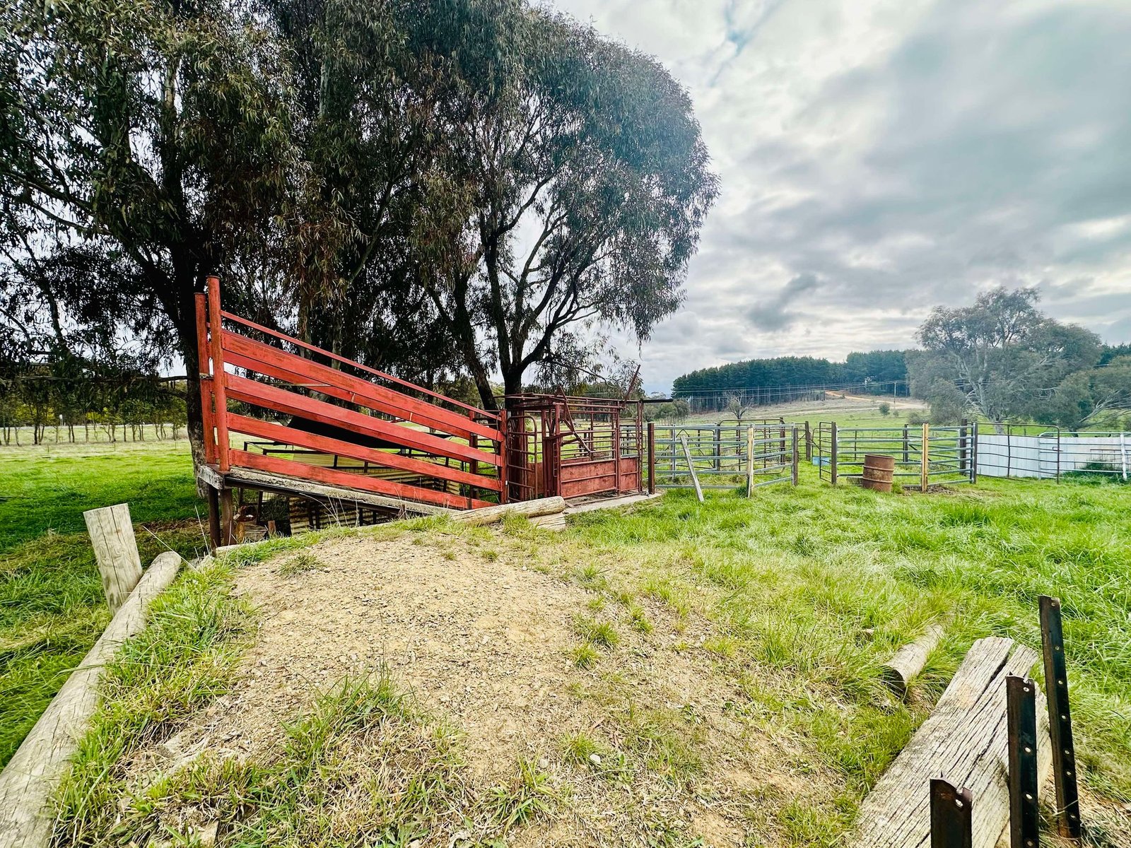 5 Courabyra Road TUMBARUMBA 24