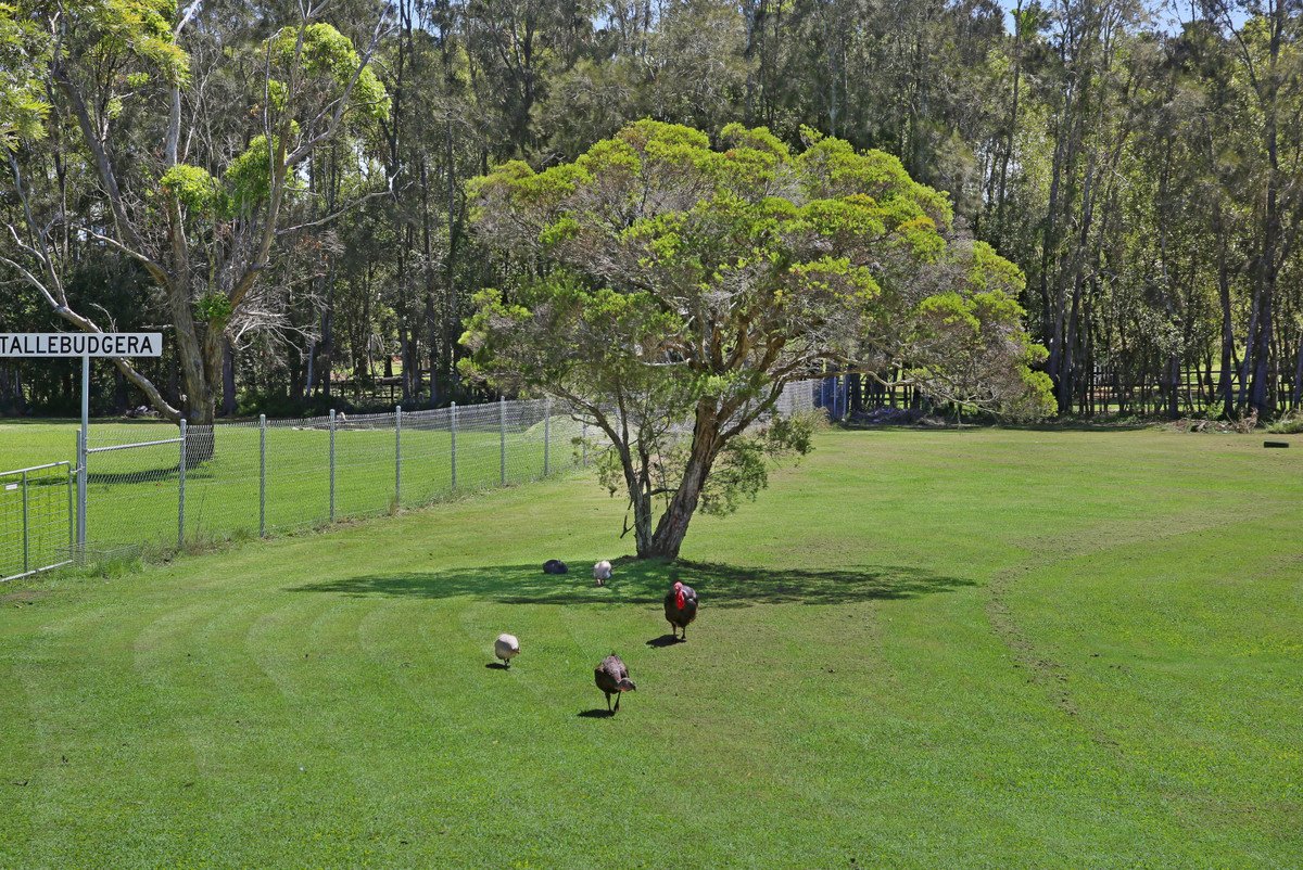 5 Daffodil Street Tallebudgera 31