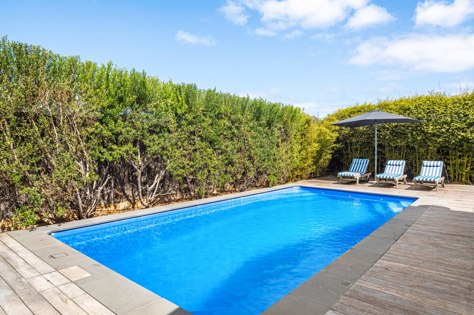 Gallery: 5 Dolphin Avenue