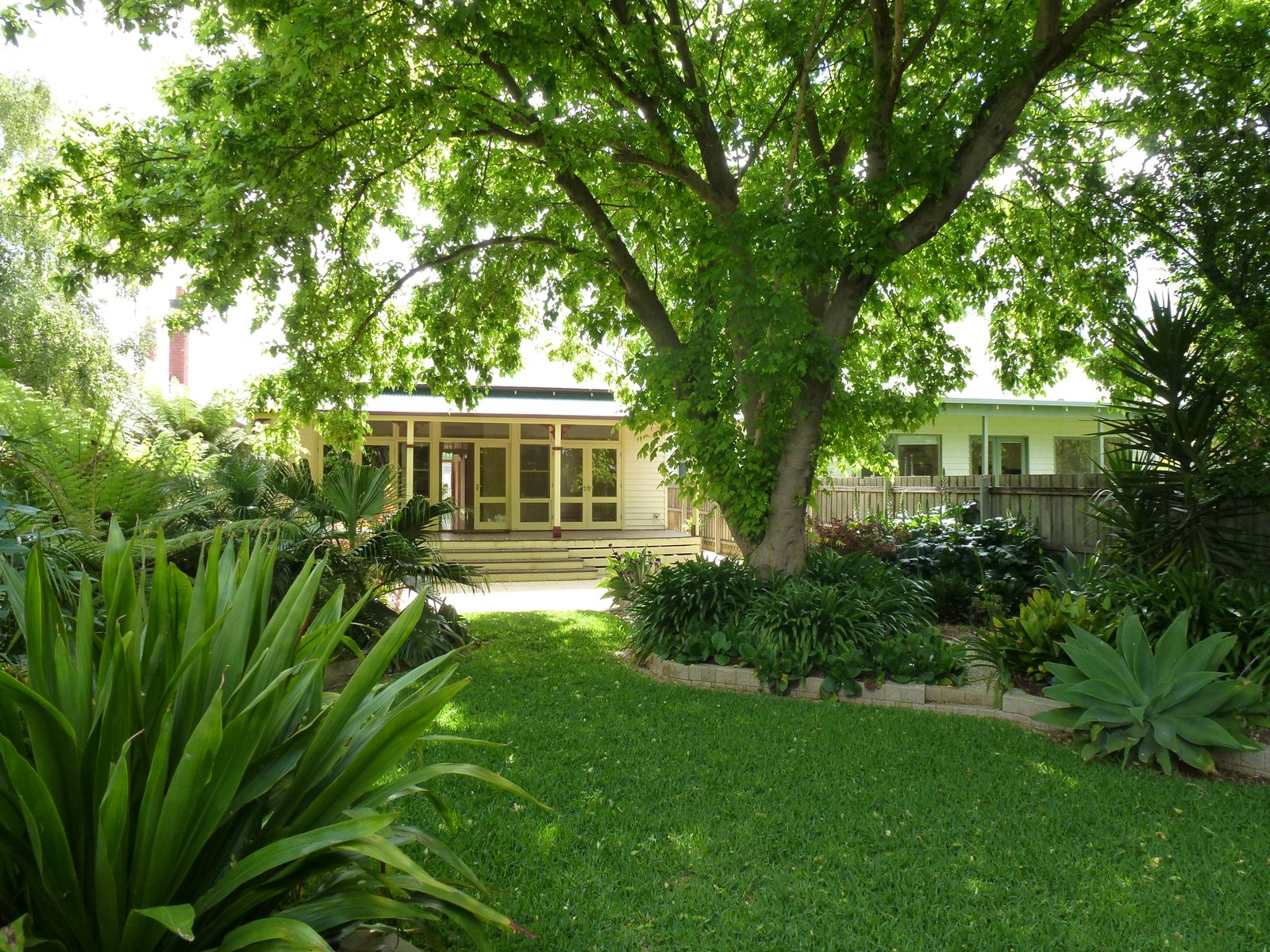 Gallery: 5 Ebden Street