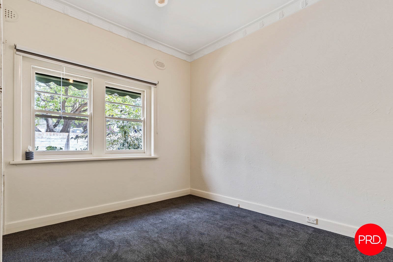 5 Echuca Street QUARRY HILL 4