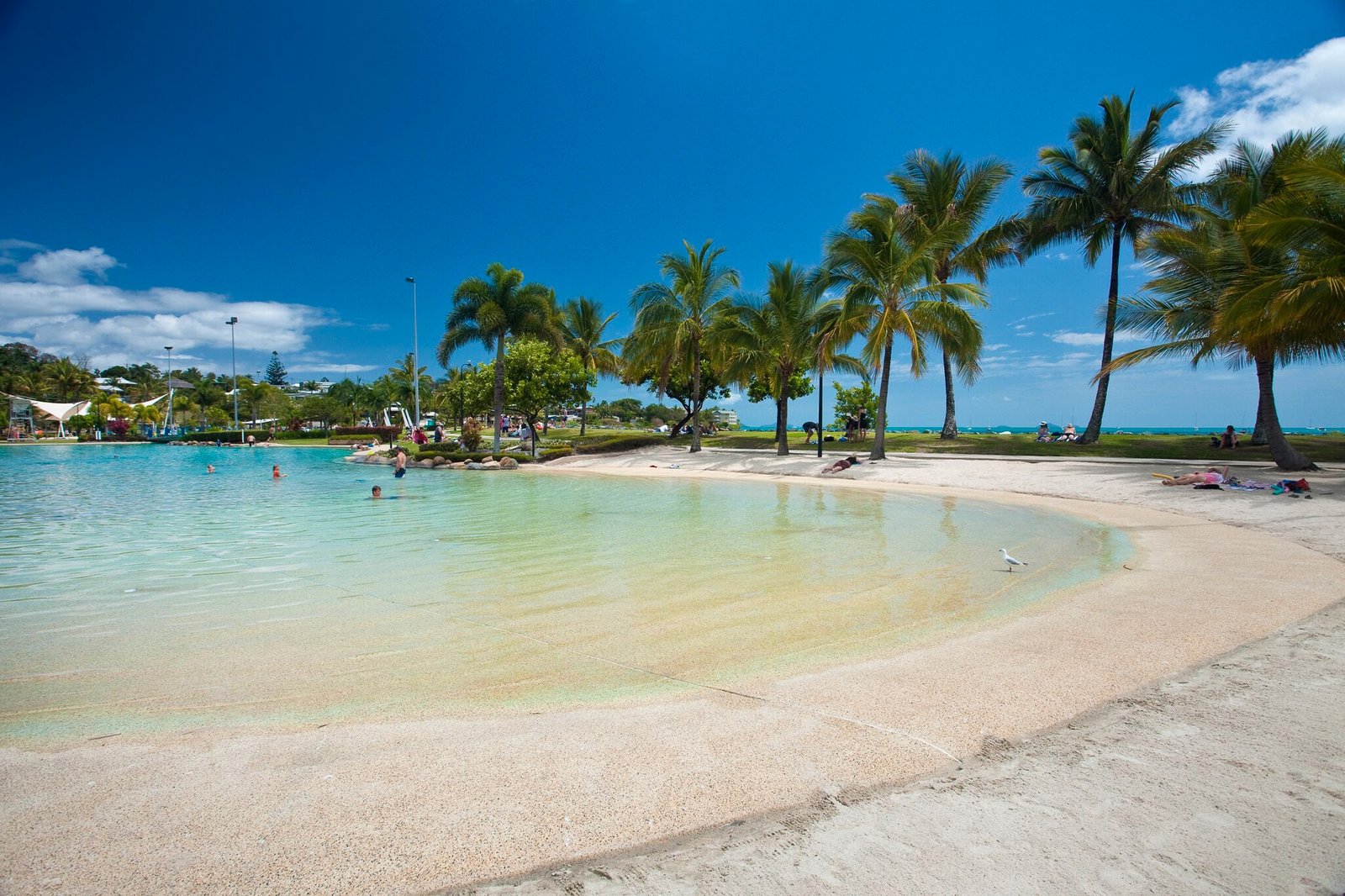 5 Flame Tree Court AIRLIE BEACH 5